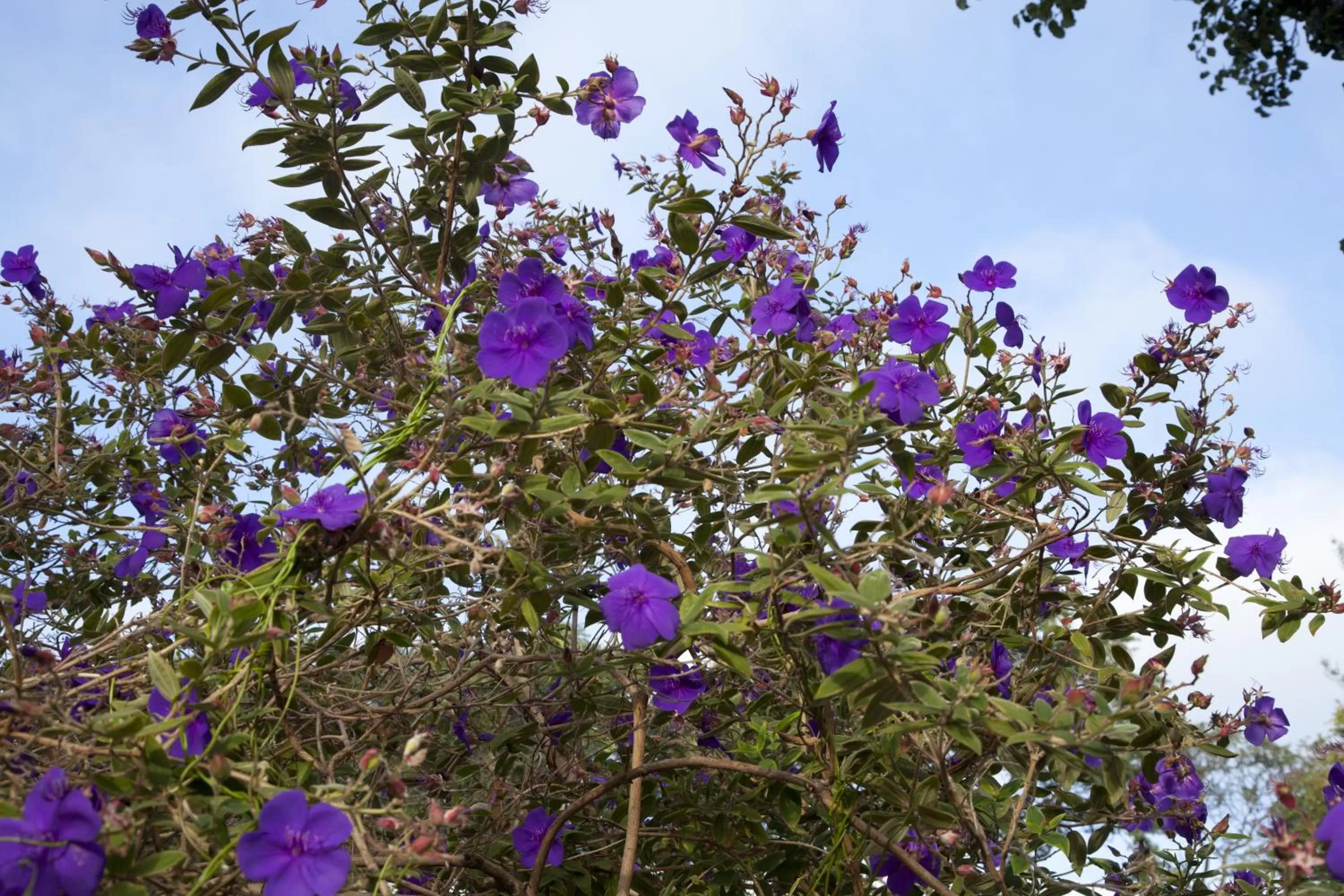 Natural landscape in The Creekside Inn