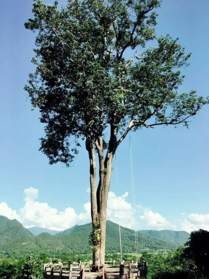 Mari Pai Resort Mari Pai Resort