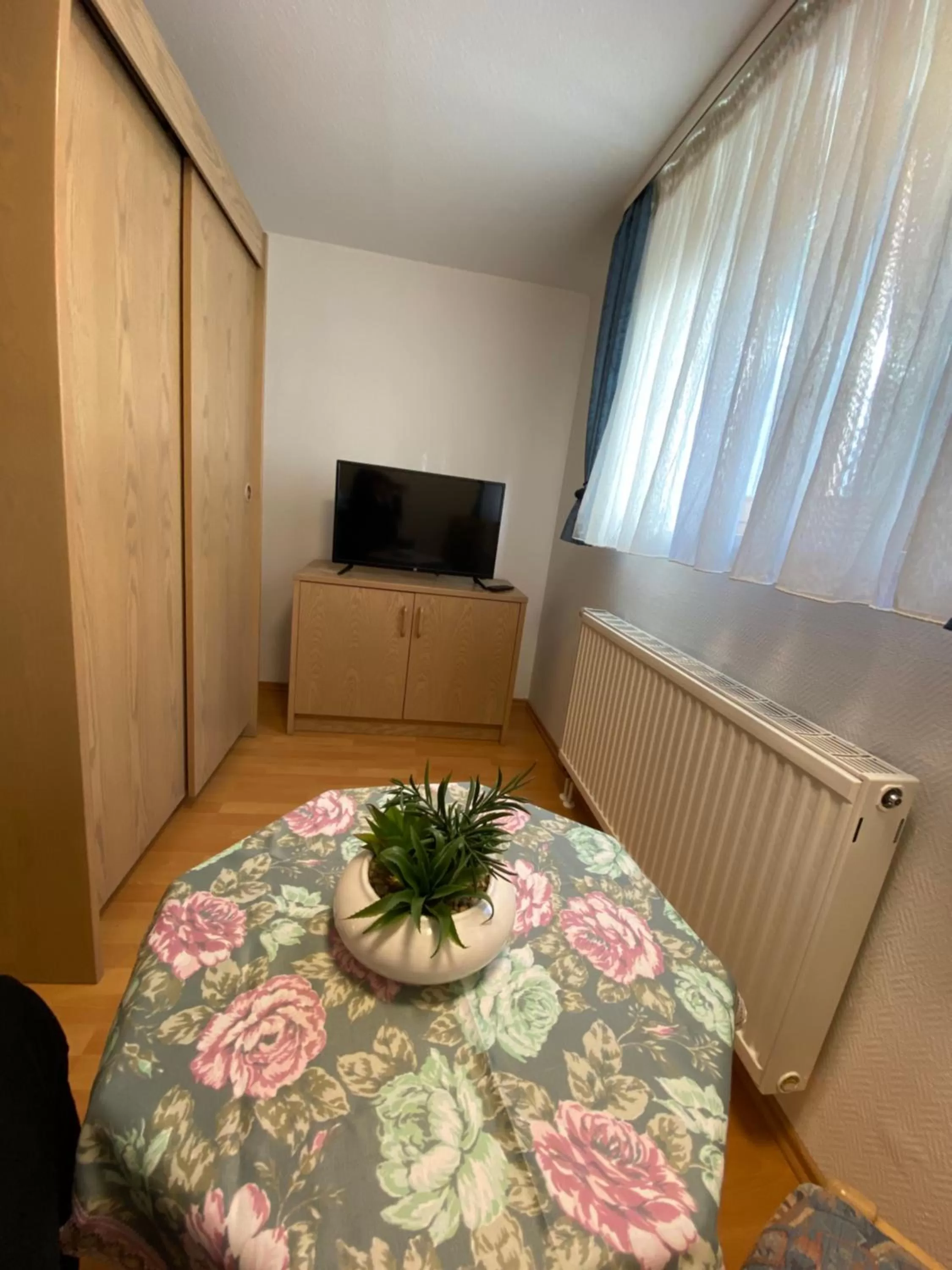 TV and multimedia in Hotel Bielatal