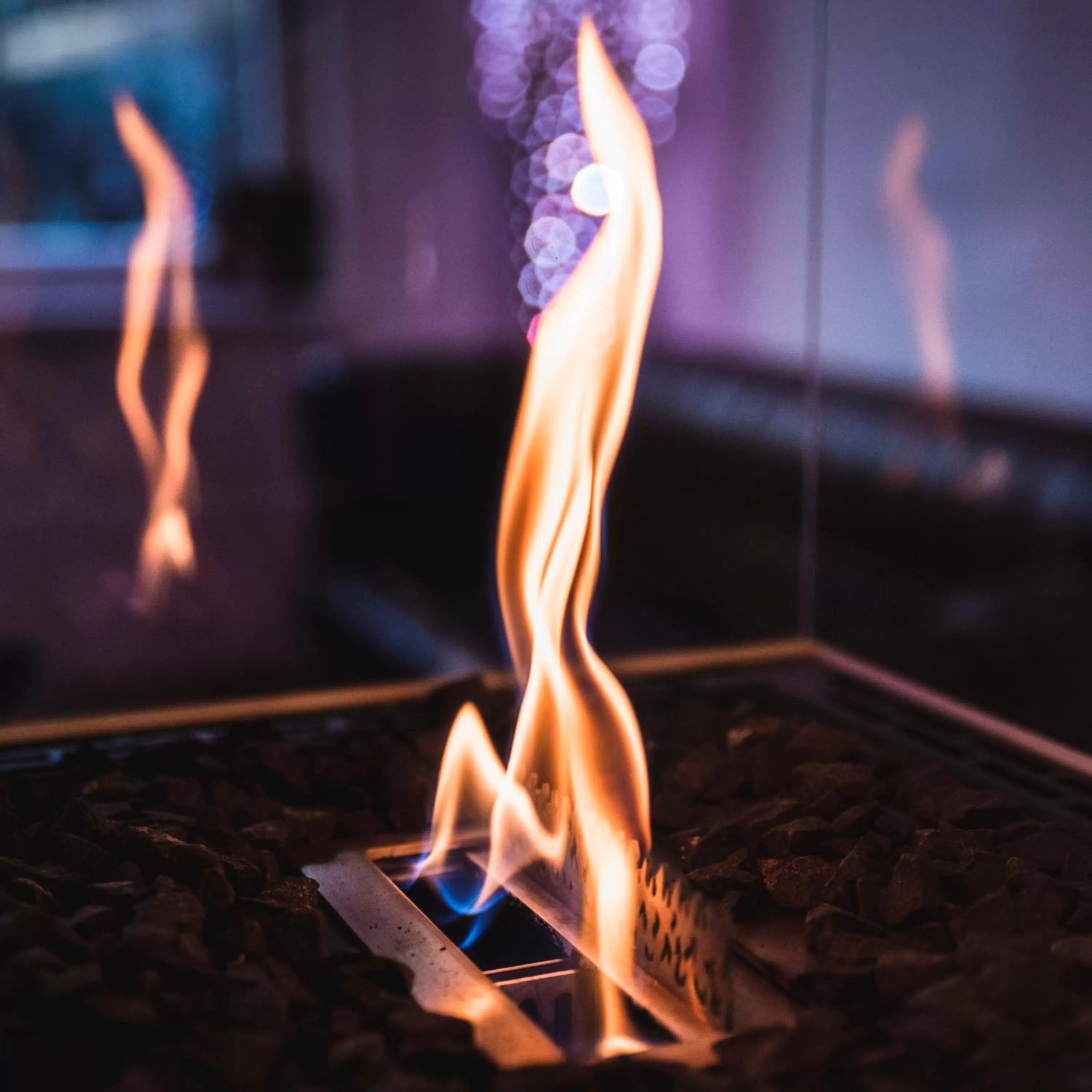 pet friendly in Amedia Luxury Suites Graz, Trademark Collection by Wyndham