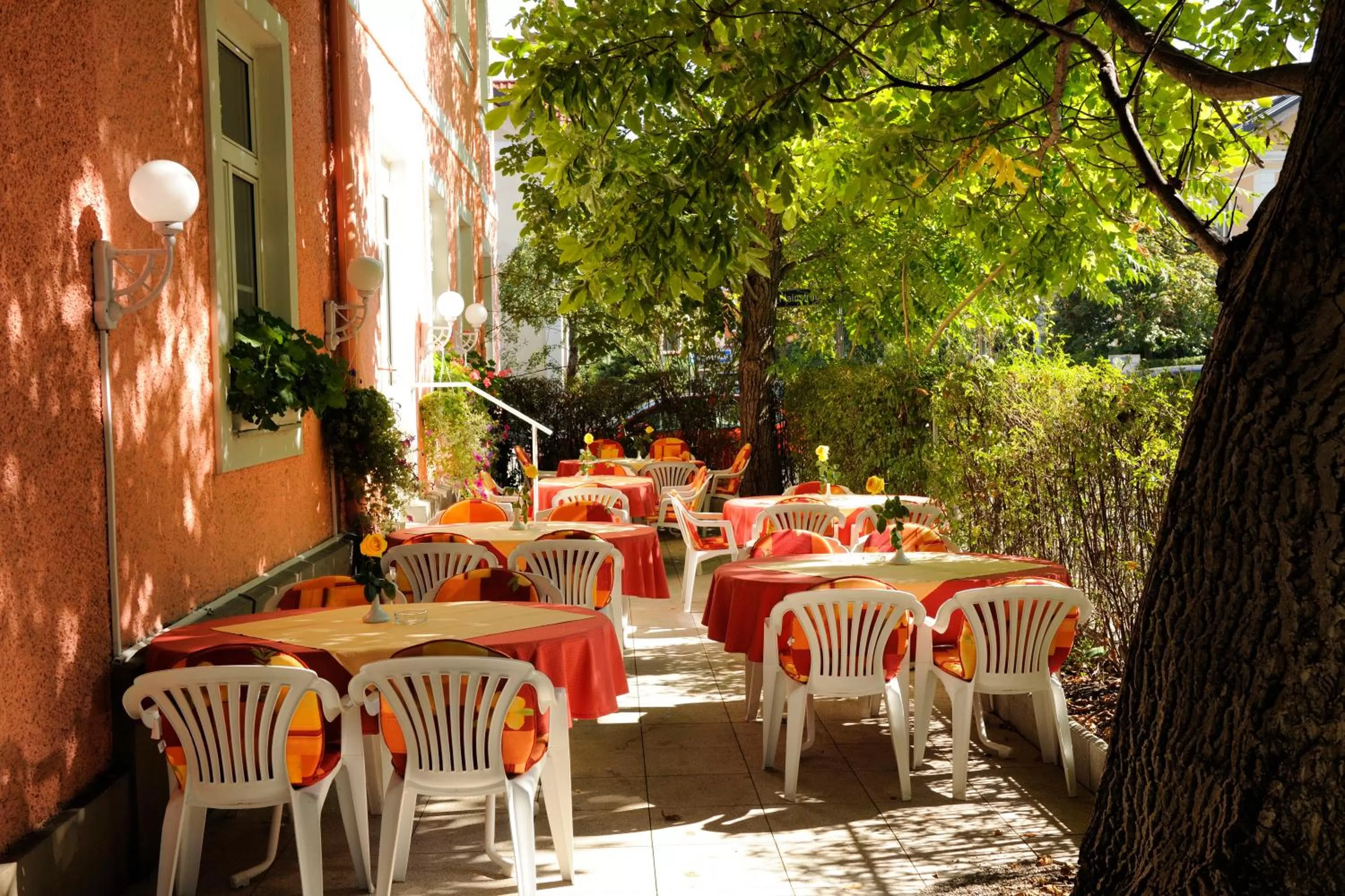 Balcony/Terrace in Hotel Scherer