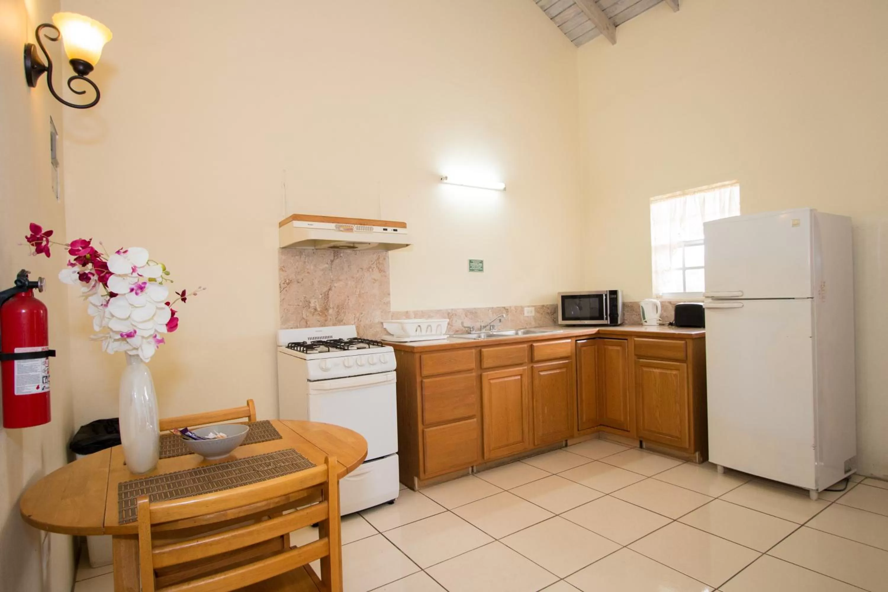 Kitchen or kitchenette in Connie's Comfort Suites