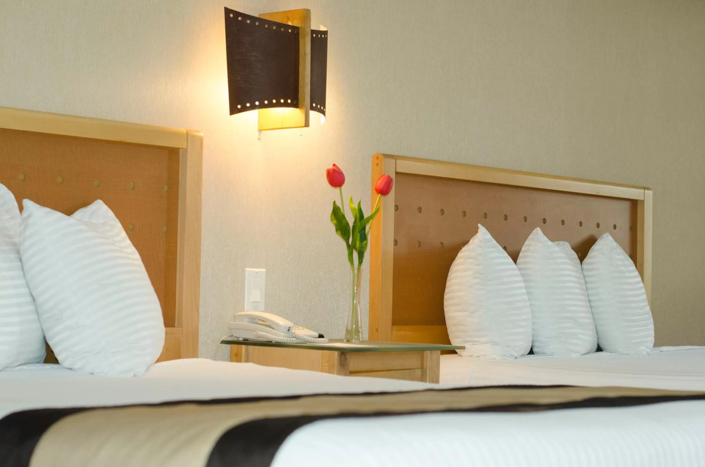 Bed in Hotel Colonial Mexicali