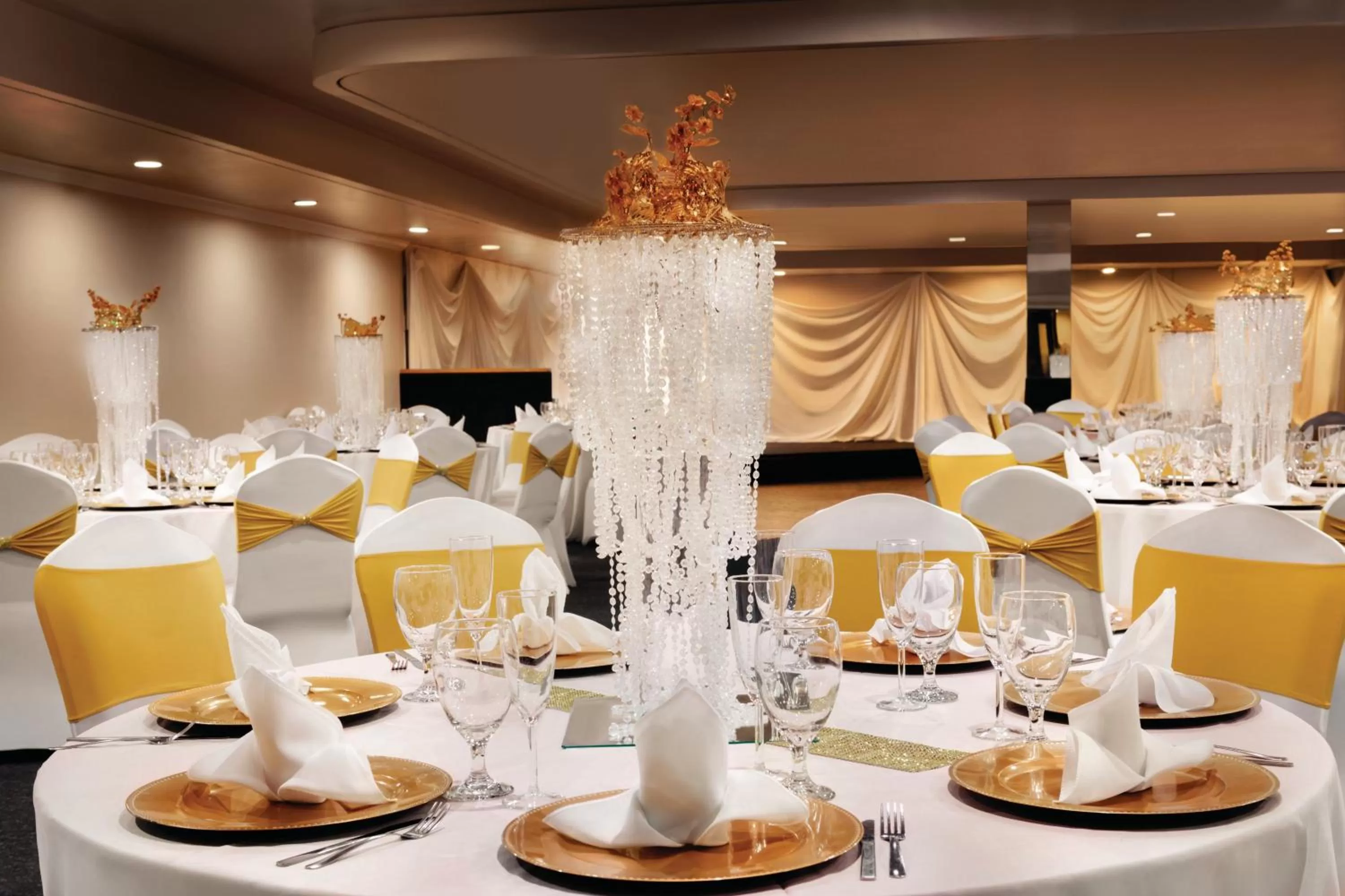 Banquet/Function facilities in Radisson Hotel Charlotte Airport