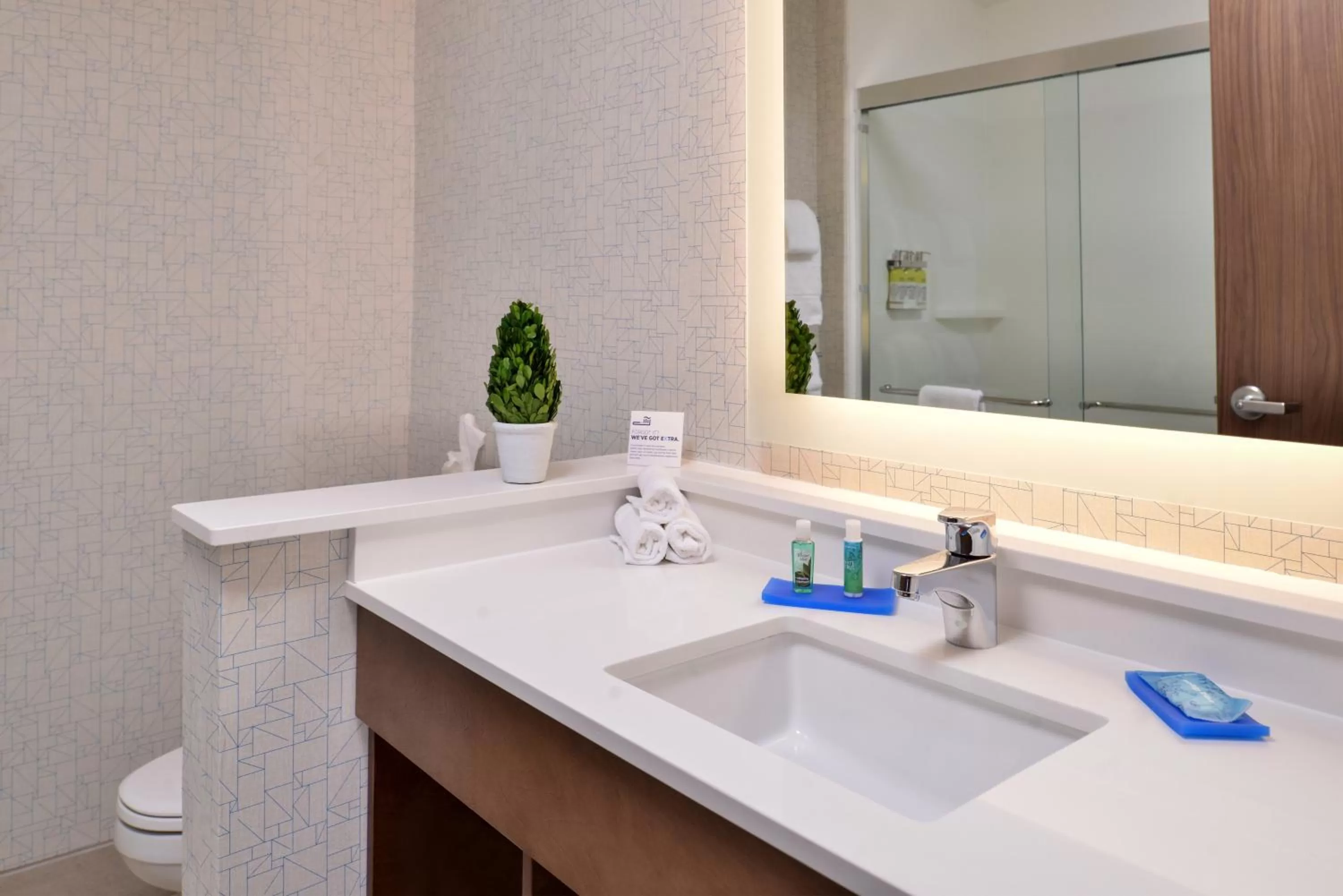 Bathroom in Holiday Inn Express & Suites Alachua - Gainesville Area by IHG