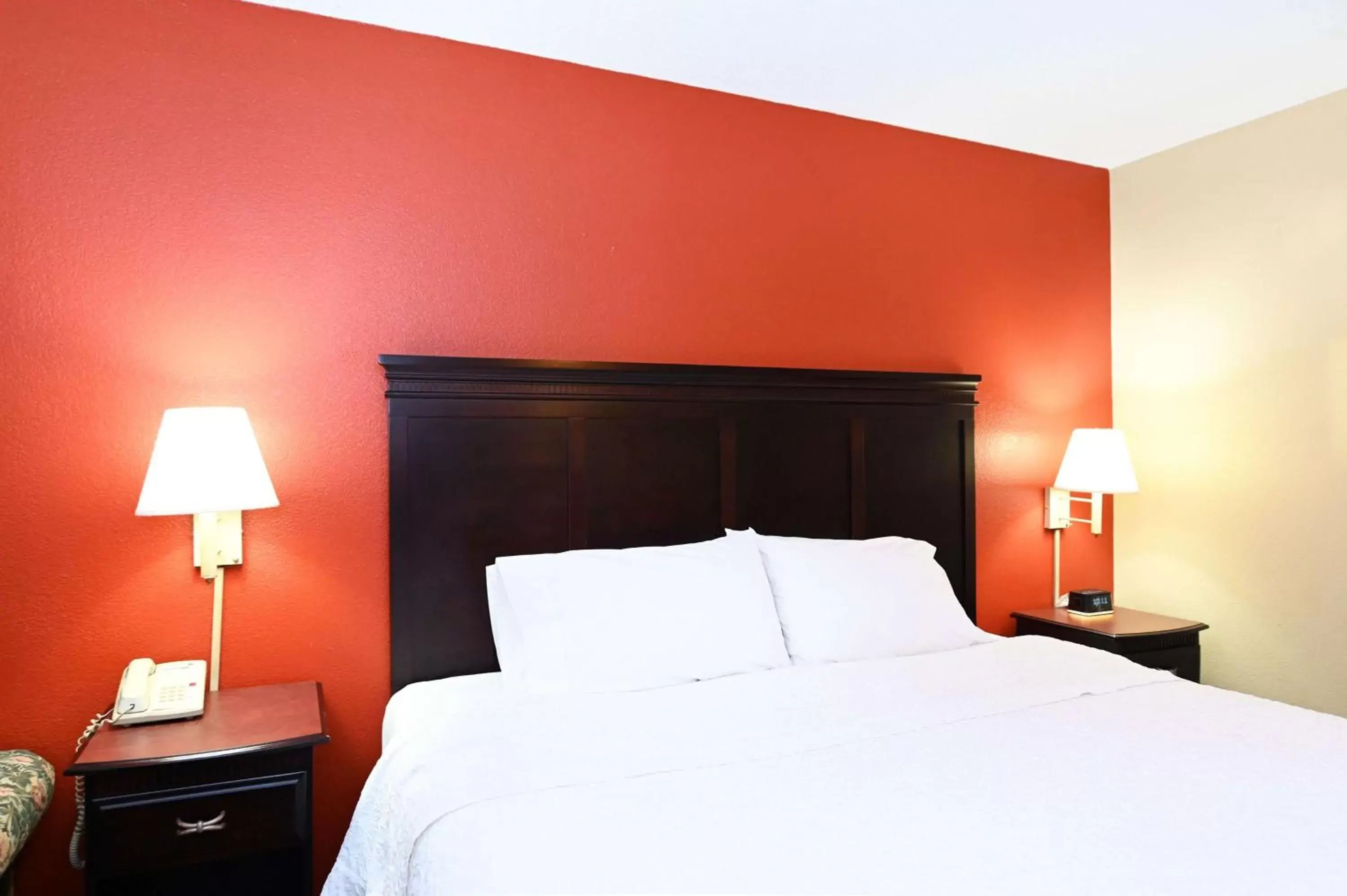 King Study Room - Non-Smoking in Hampton Inn Richmond-SW Hull Street King Study Room - Non-Smoking in Hampton Inn Richmond-SW Hull Street