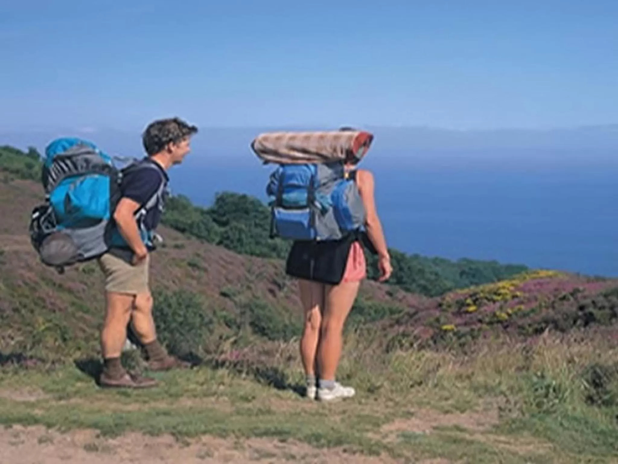 Natural landscape in Smiths Hotel