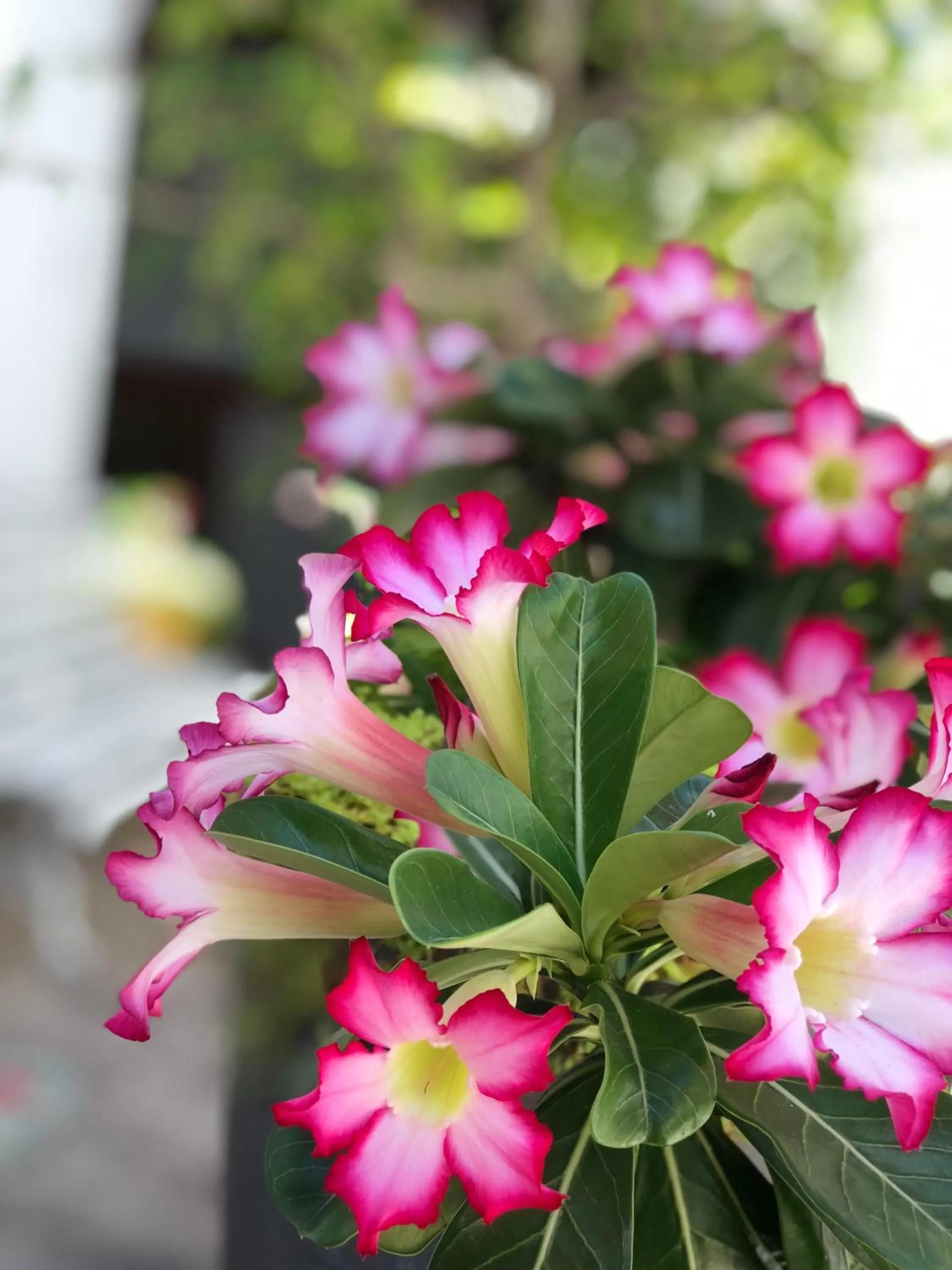 Property building in Pousada Recanto da Família