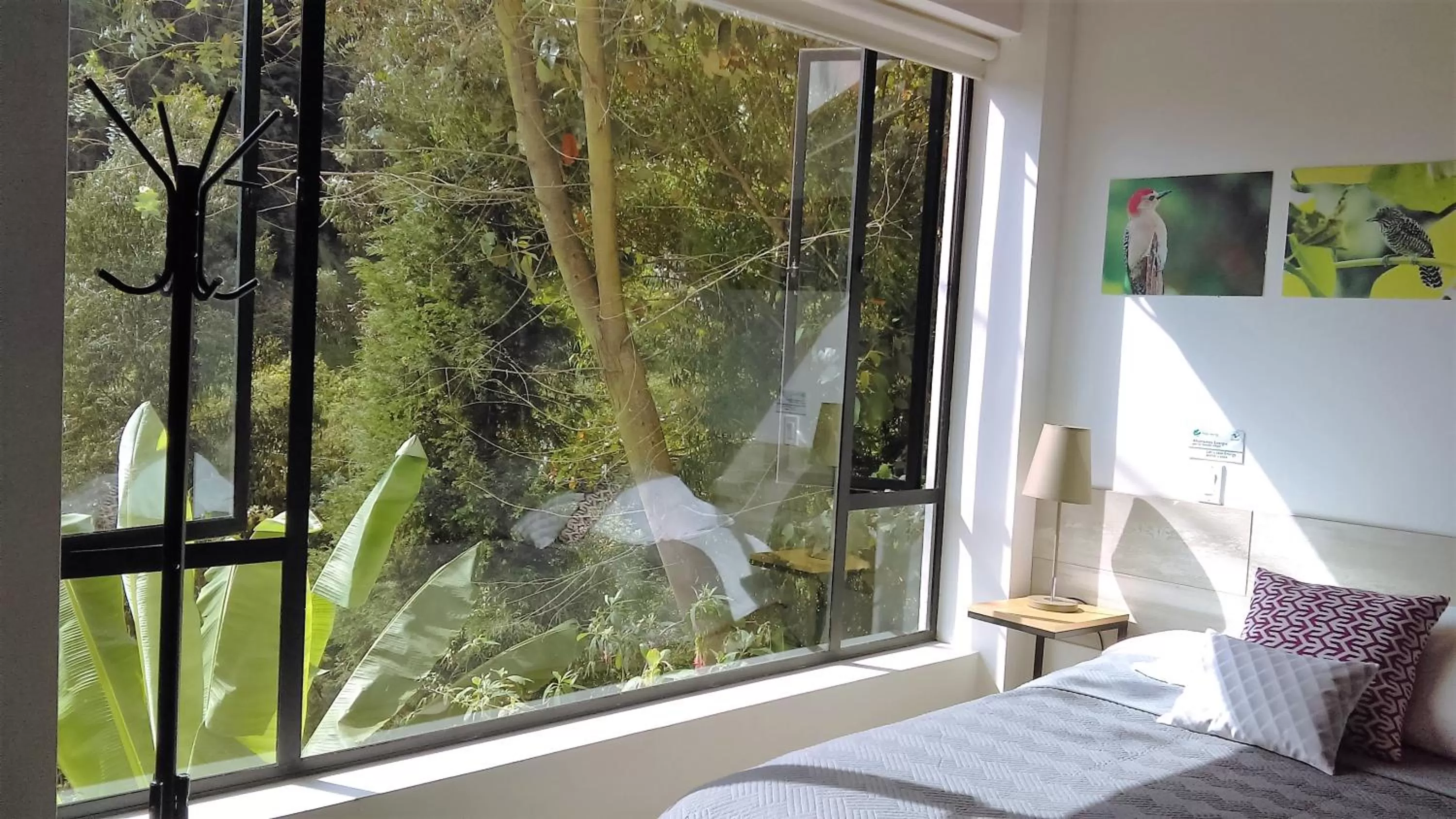 Hotel Termales Tierra Viva