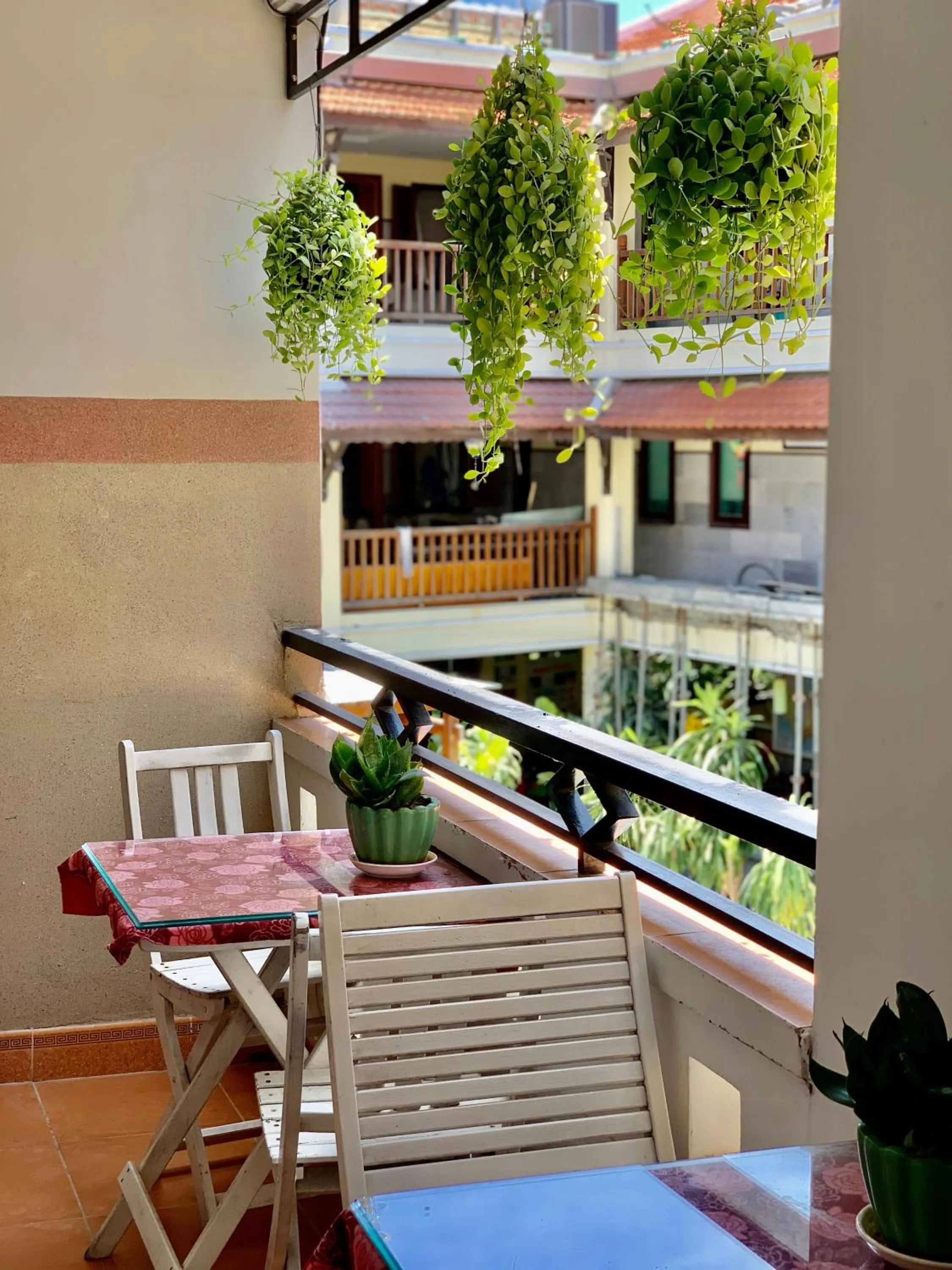 Day in Hoi An Ngo Homestay