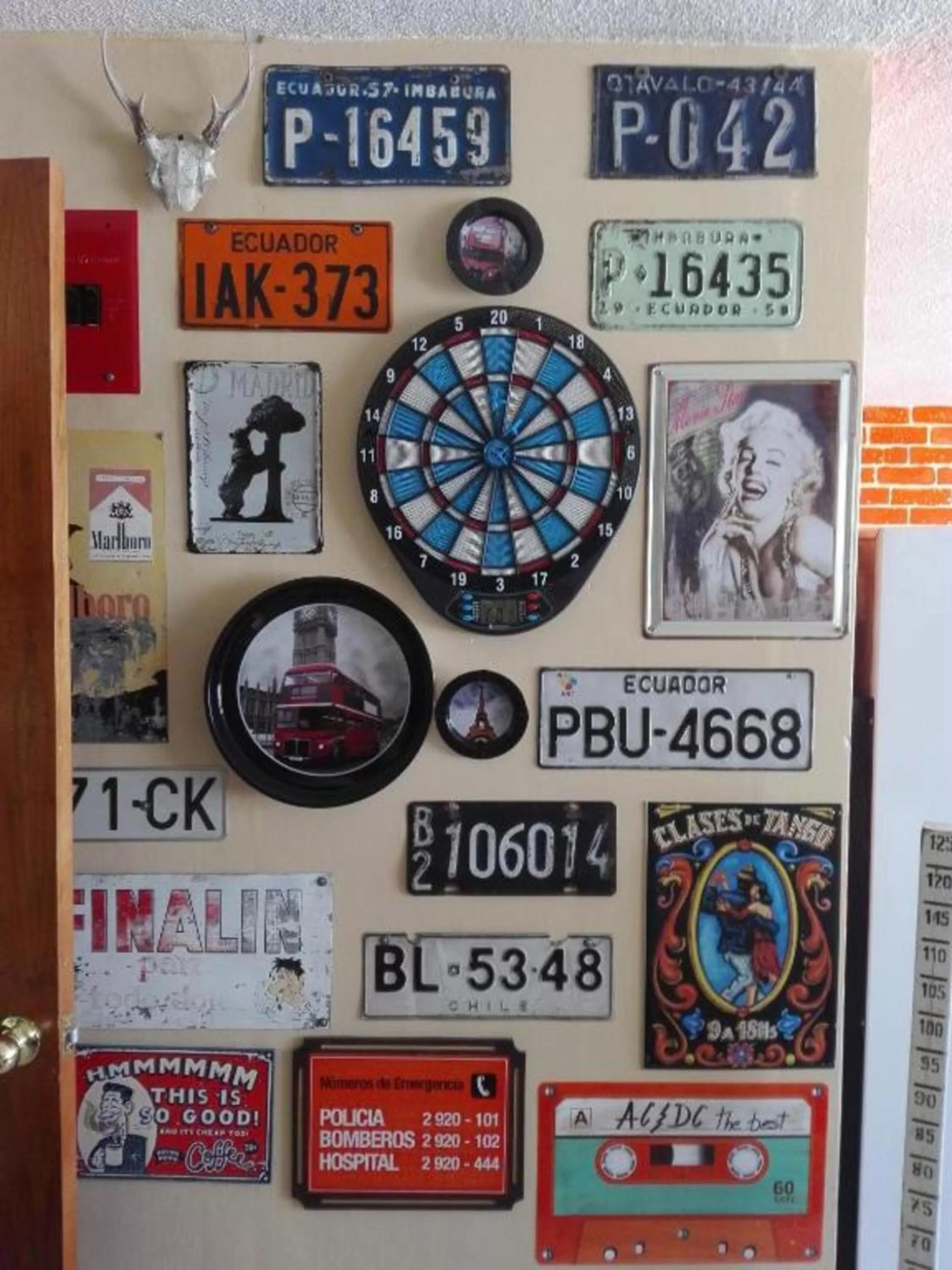 Decorative detail, Logo/Certificate/Sign/Award in Flying Donkey