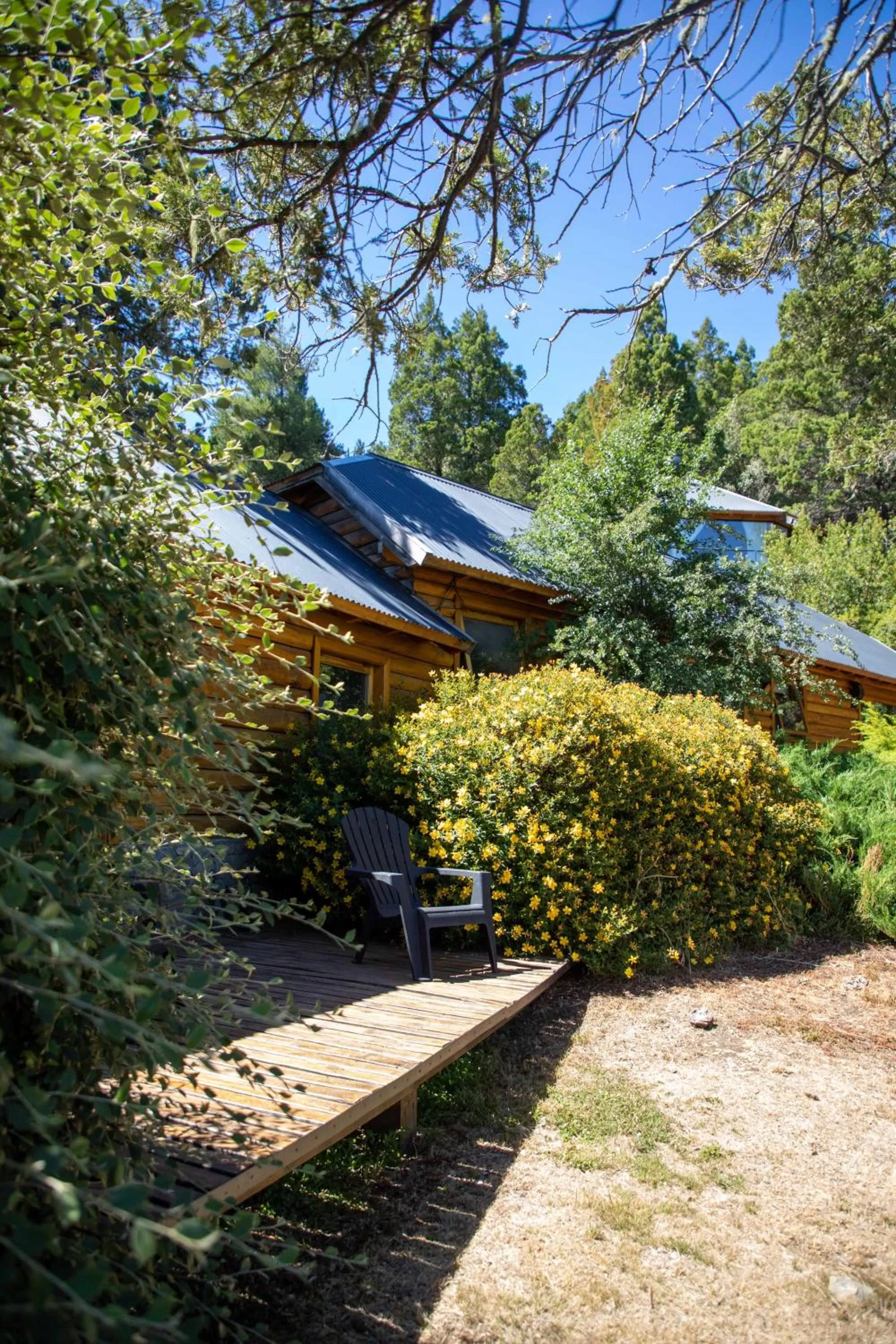 Patio in Arrayan Lake View Mountain Lodge & Casa De Te Arrayan