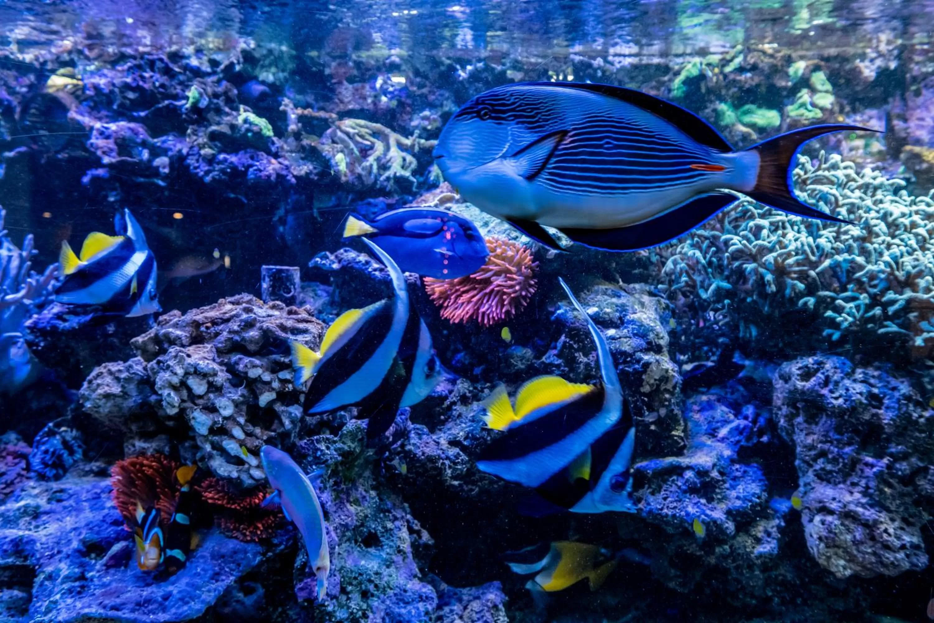 Restaurant/places to eat in Hotel Klosterhof