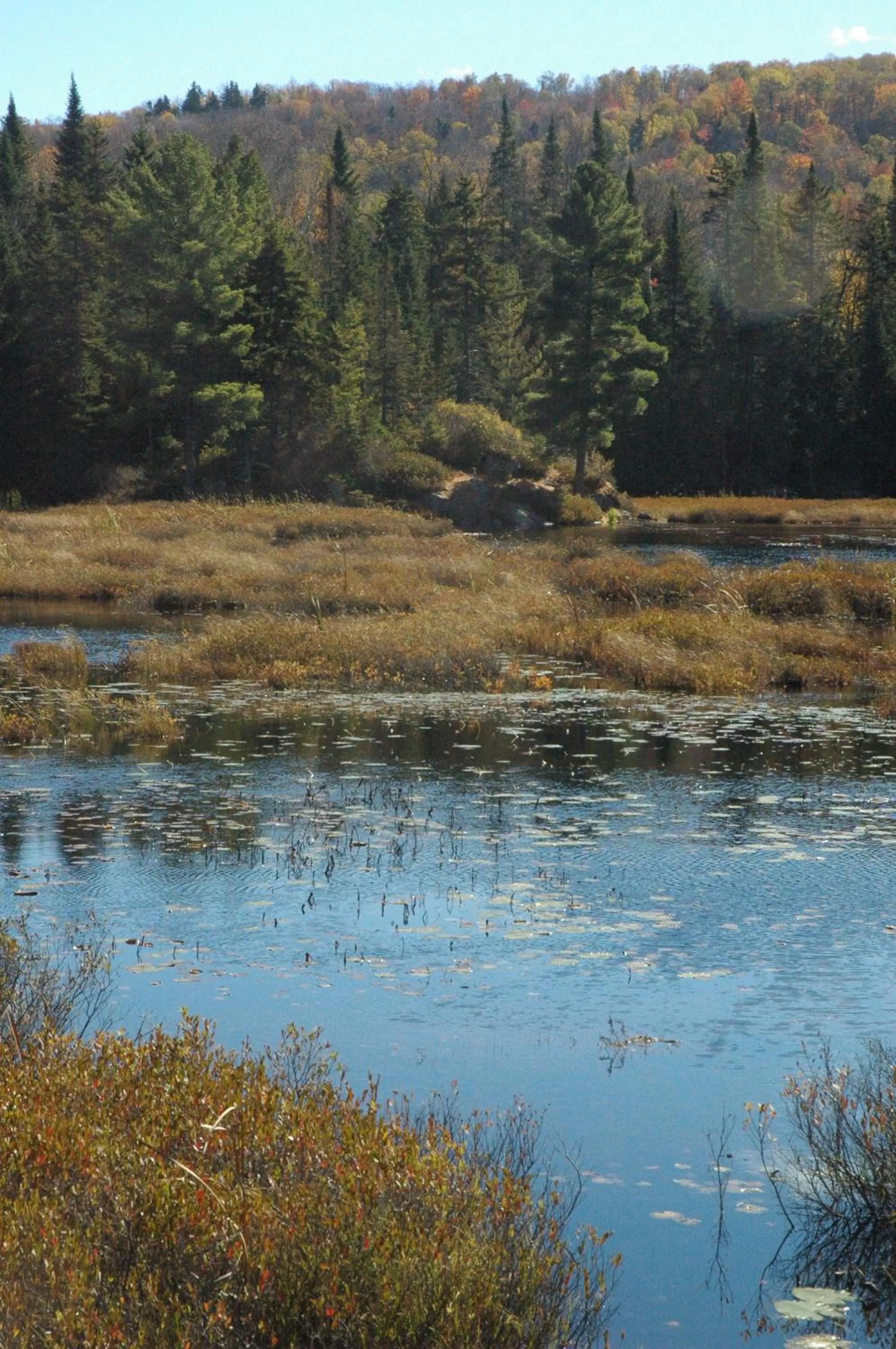 Day in Auberge Micro-Brasserie Le Baril Roulant
