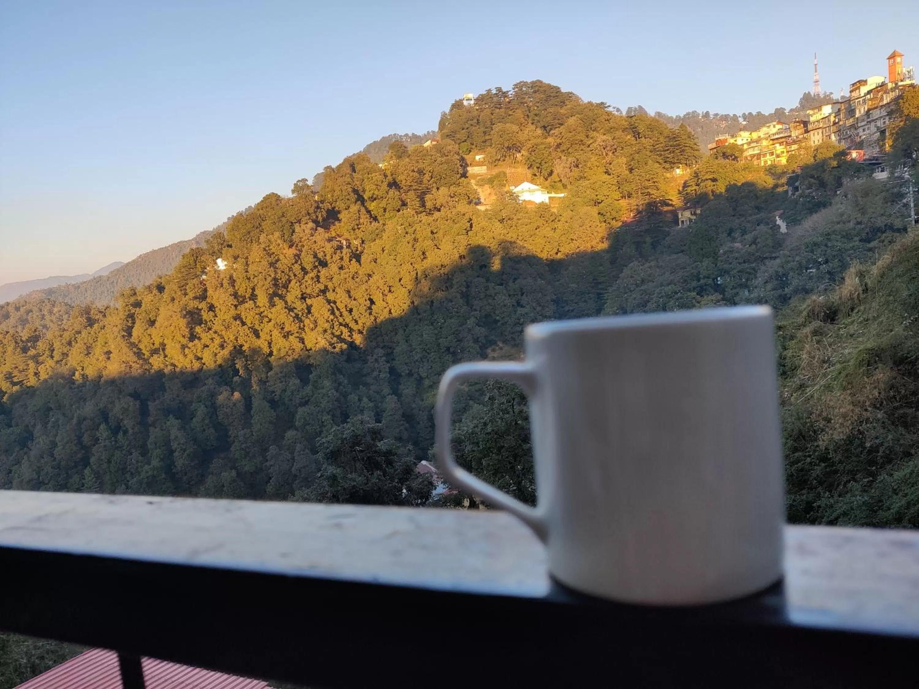 View (from property/room) in Hotel Shiva Continental