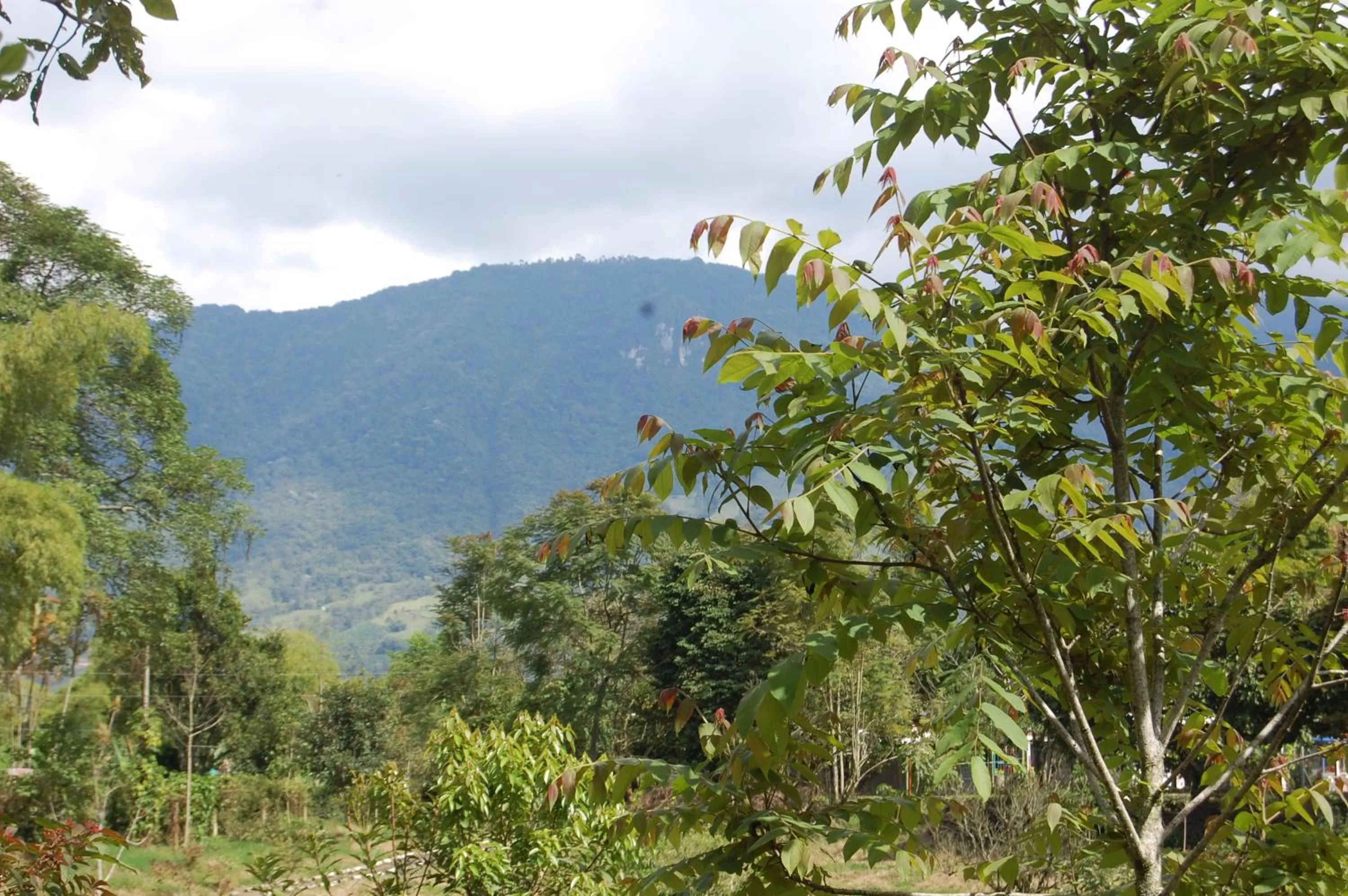 Natural landscape in Ecohotel Alma