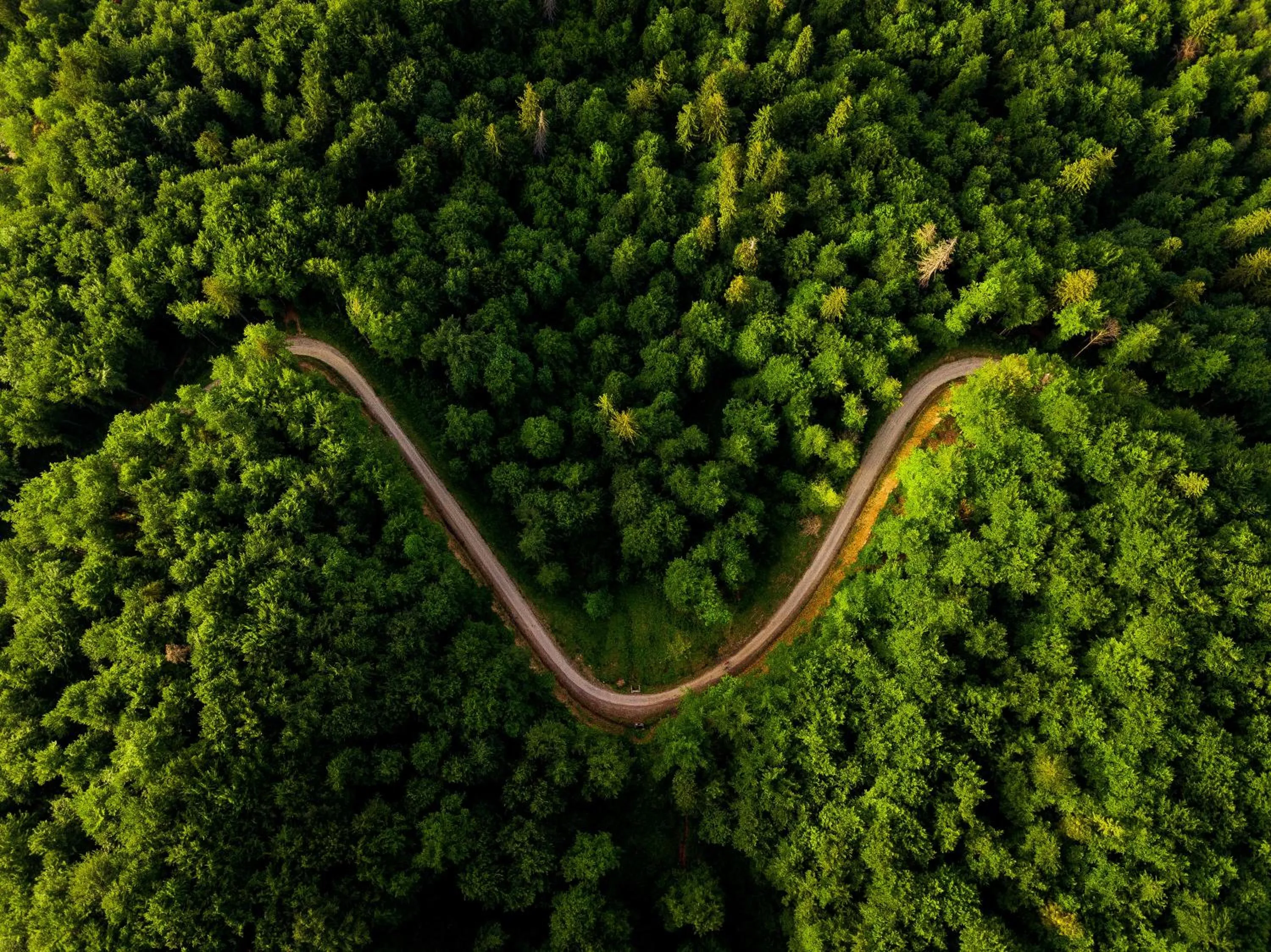 Landmark view in Grand Hotel