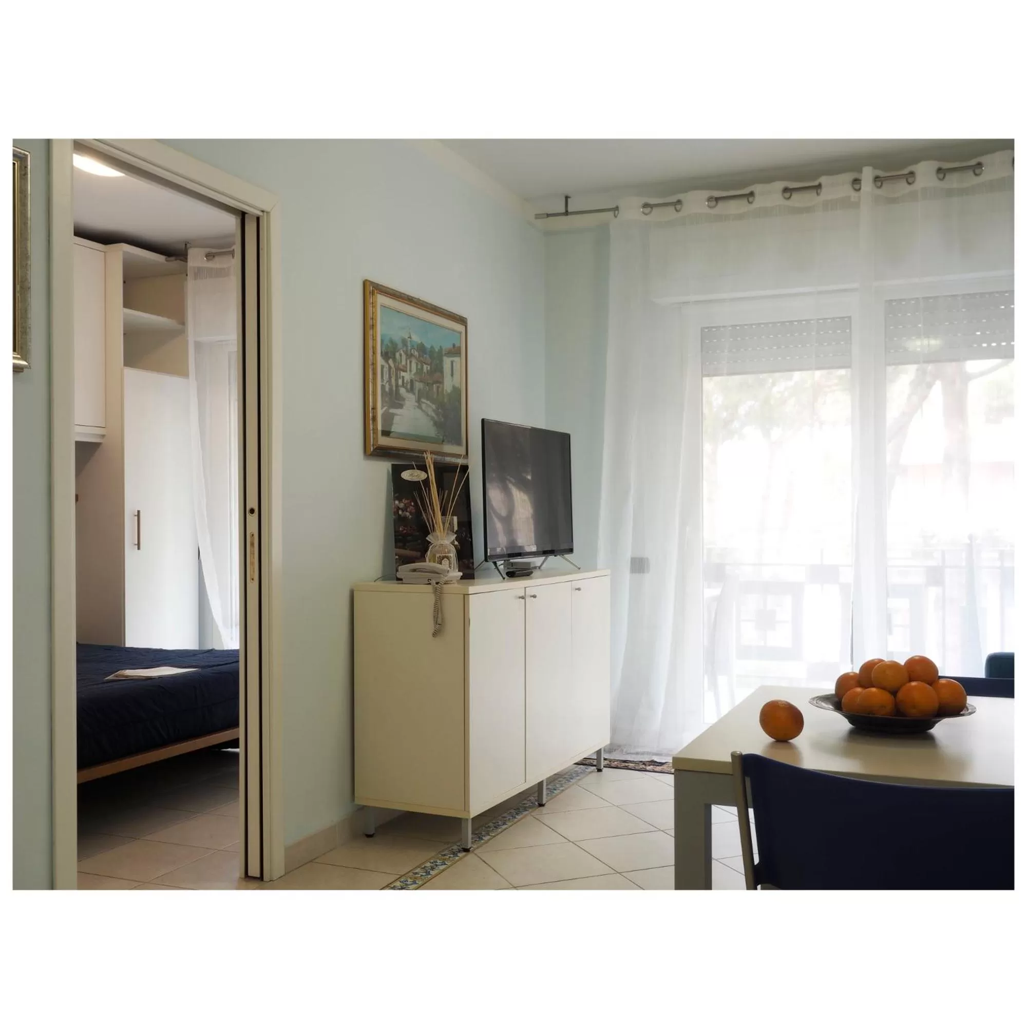 TV and multimedia in Michelangelo rta