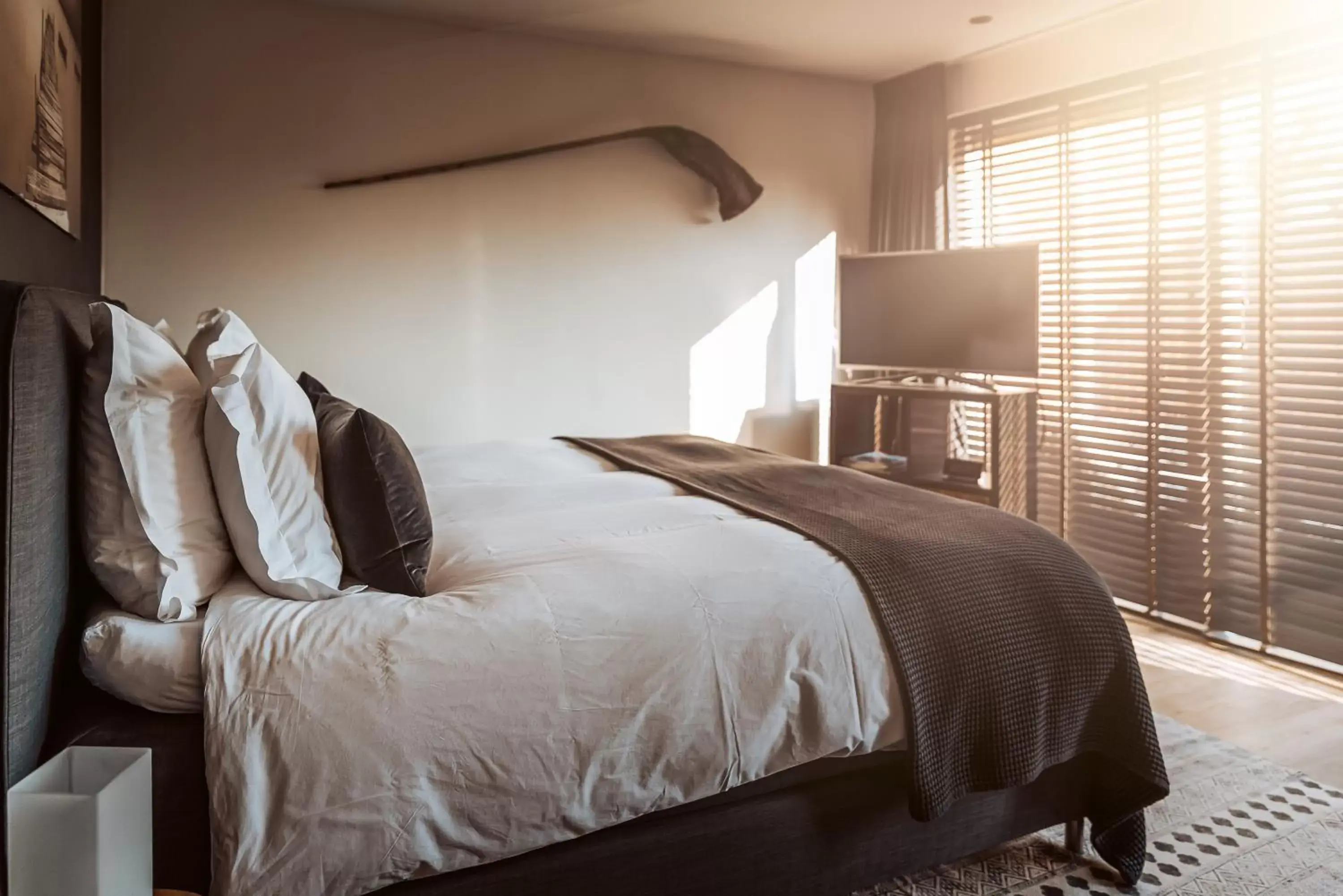 Double Room with Terrace in B&B Bleiswijk Double Room with Terrace in B&B Bleiswijk