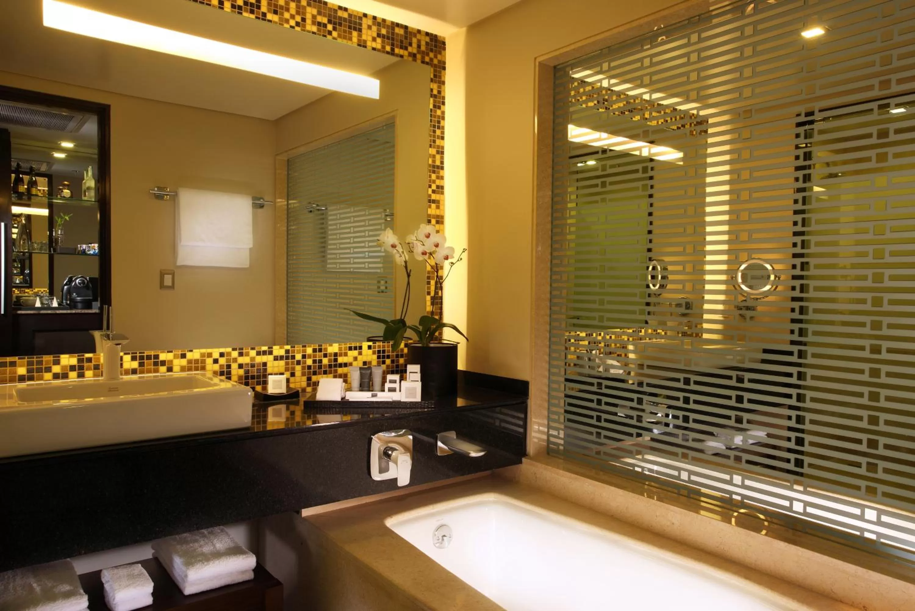 Toilet in JW Marriott Hotel Mexico City Santa Fe