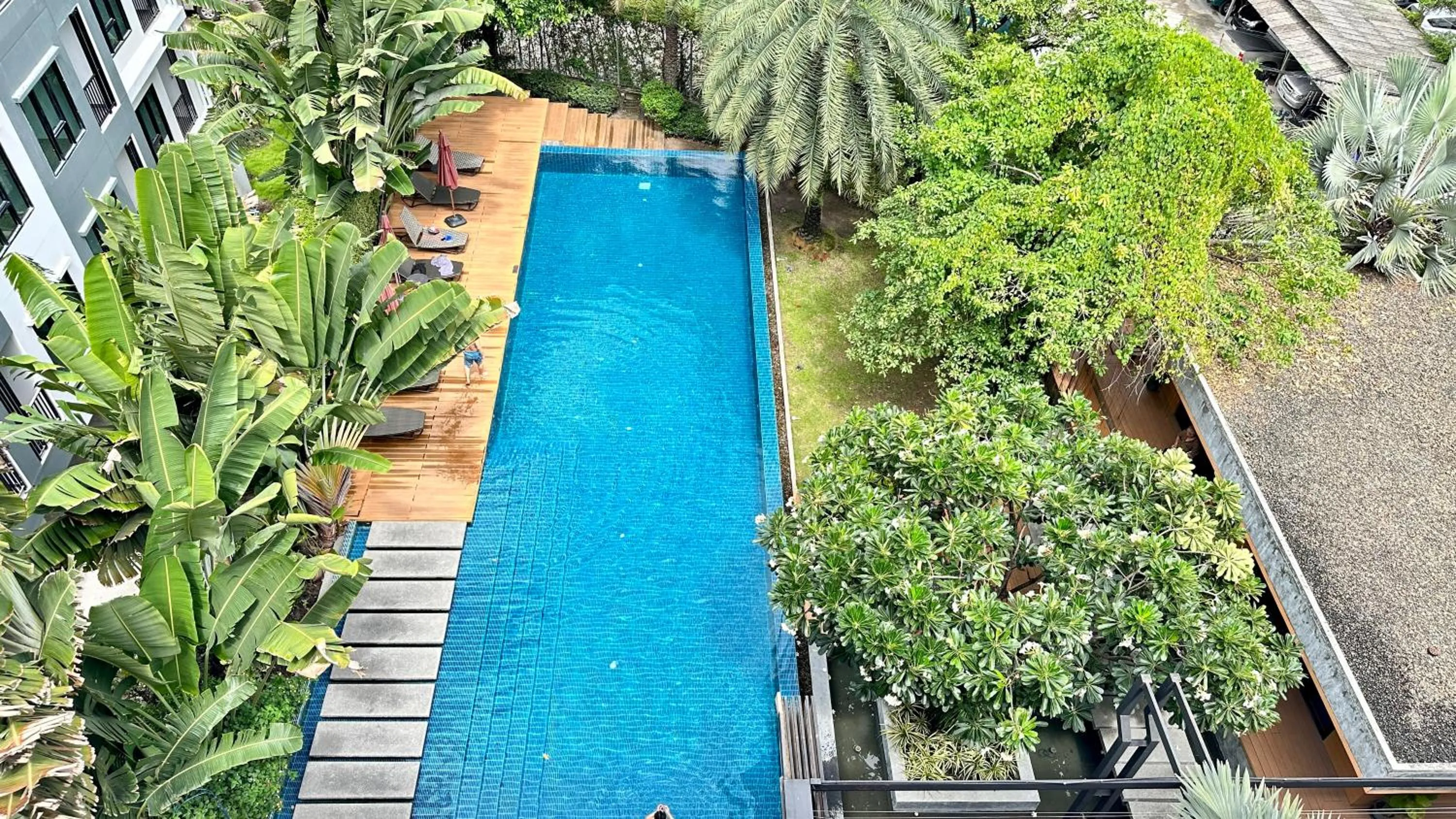 Swimming pool in The Silver Palm Wellness Resort