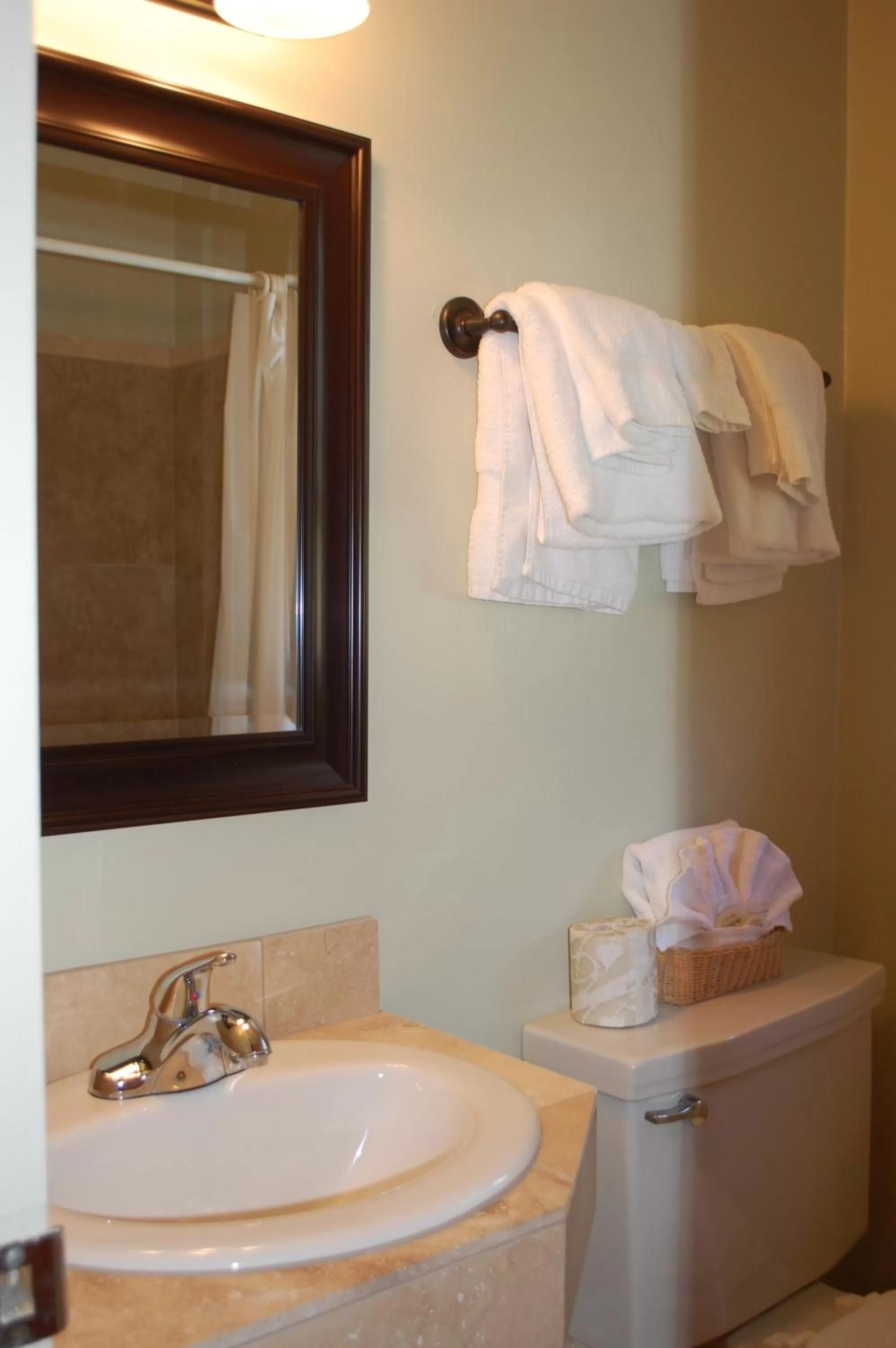 Bathroom in Trees Motel