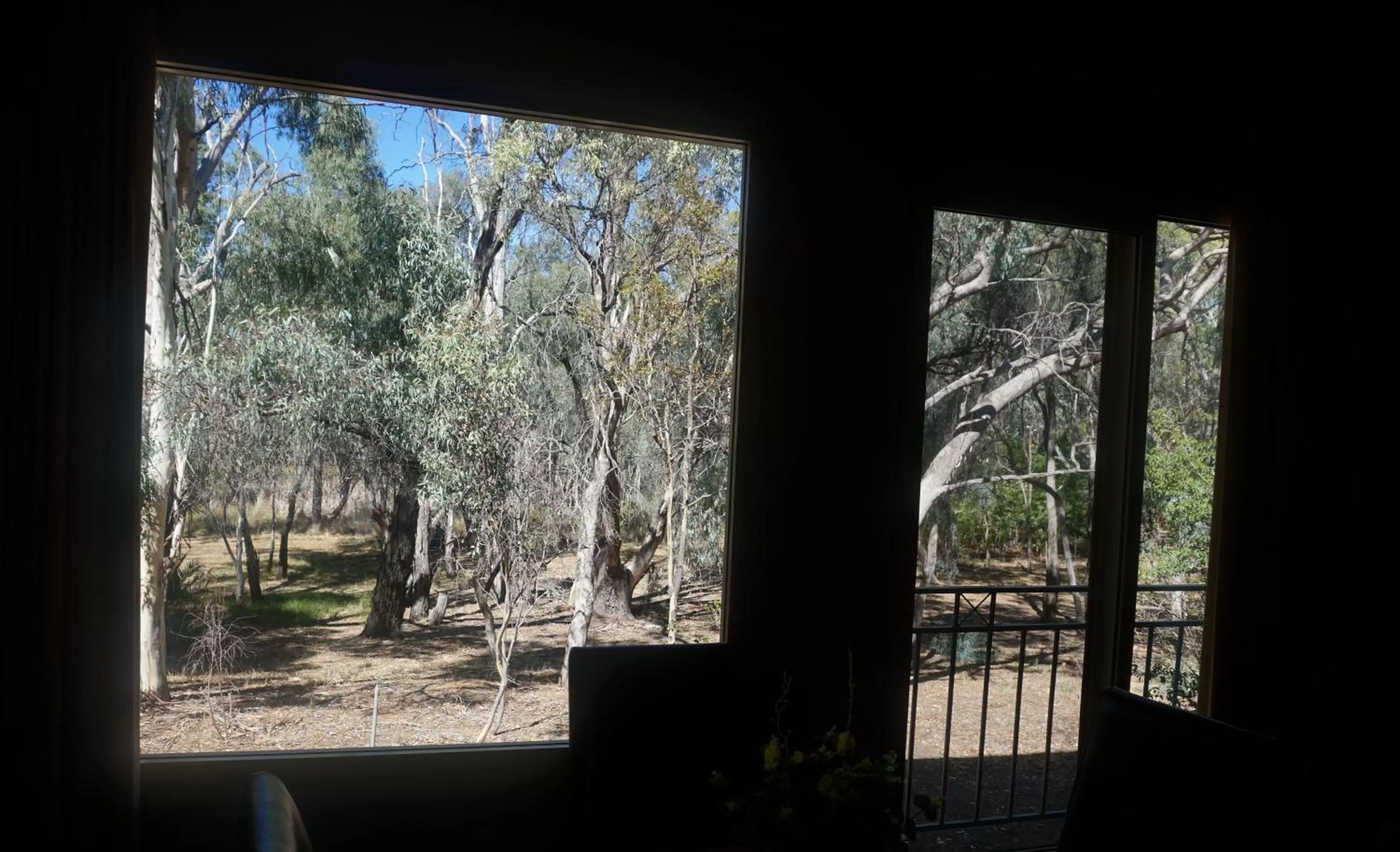 Garden in Madison Spa Motel - Adults Only