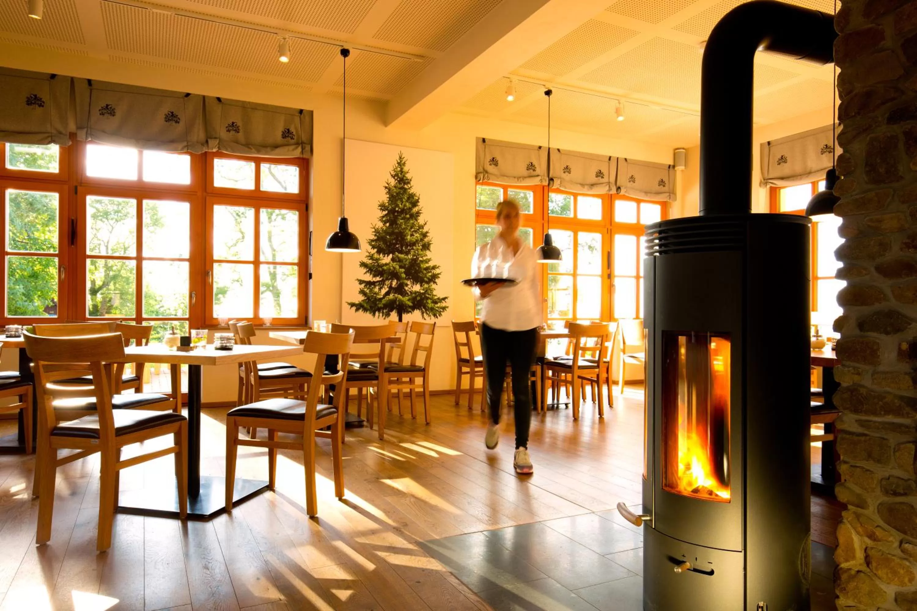 Restaurant/places to eat in Plumbohms Aussichtsreich Gast- und Logierhaus