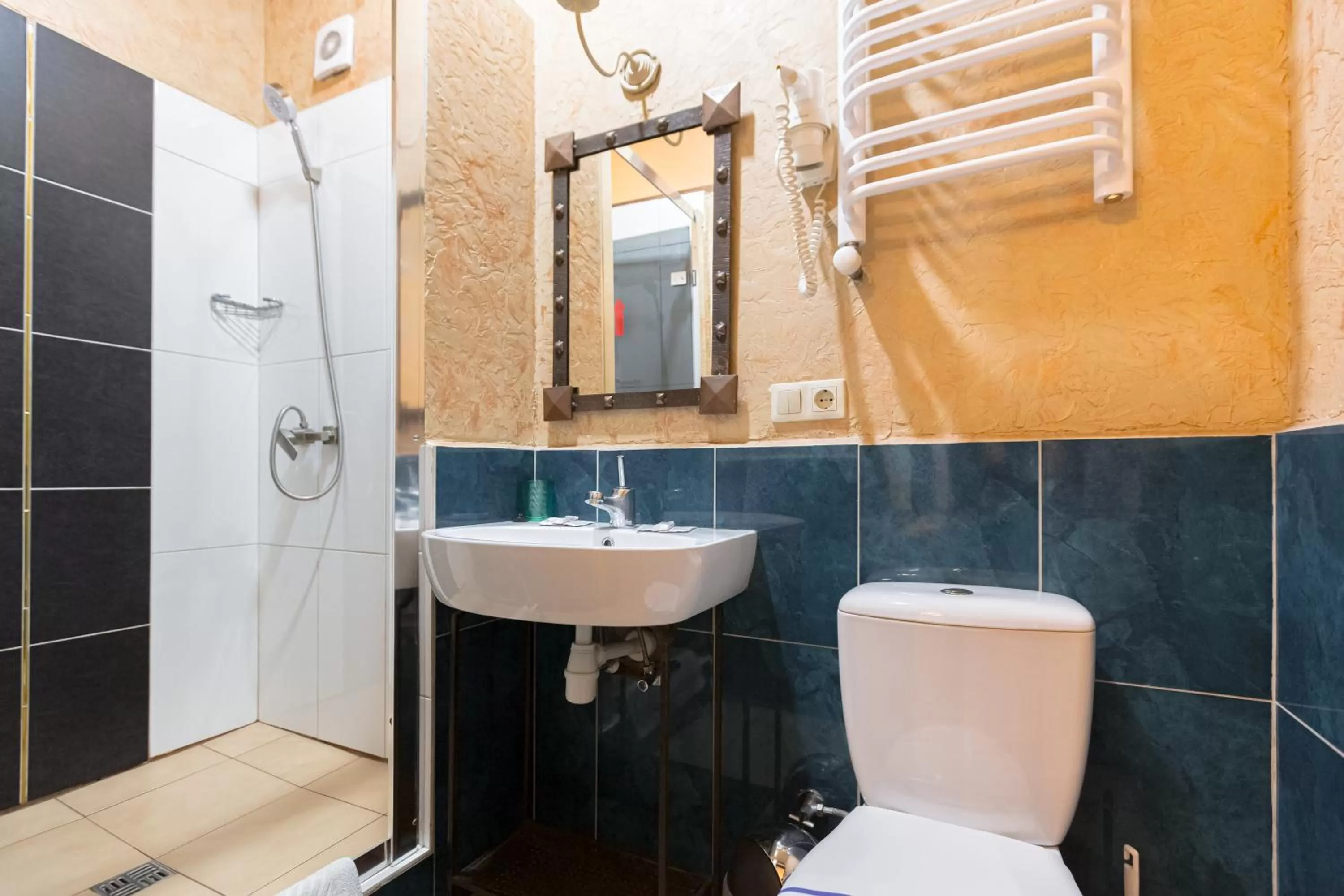 Bathroom in Staryi Krakiv