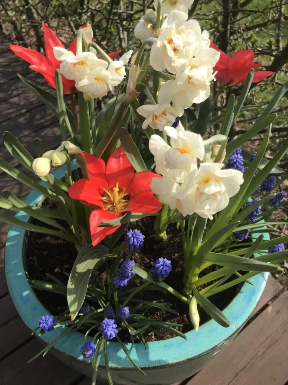 Garden in Motel Viborg