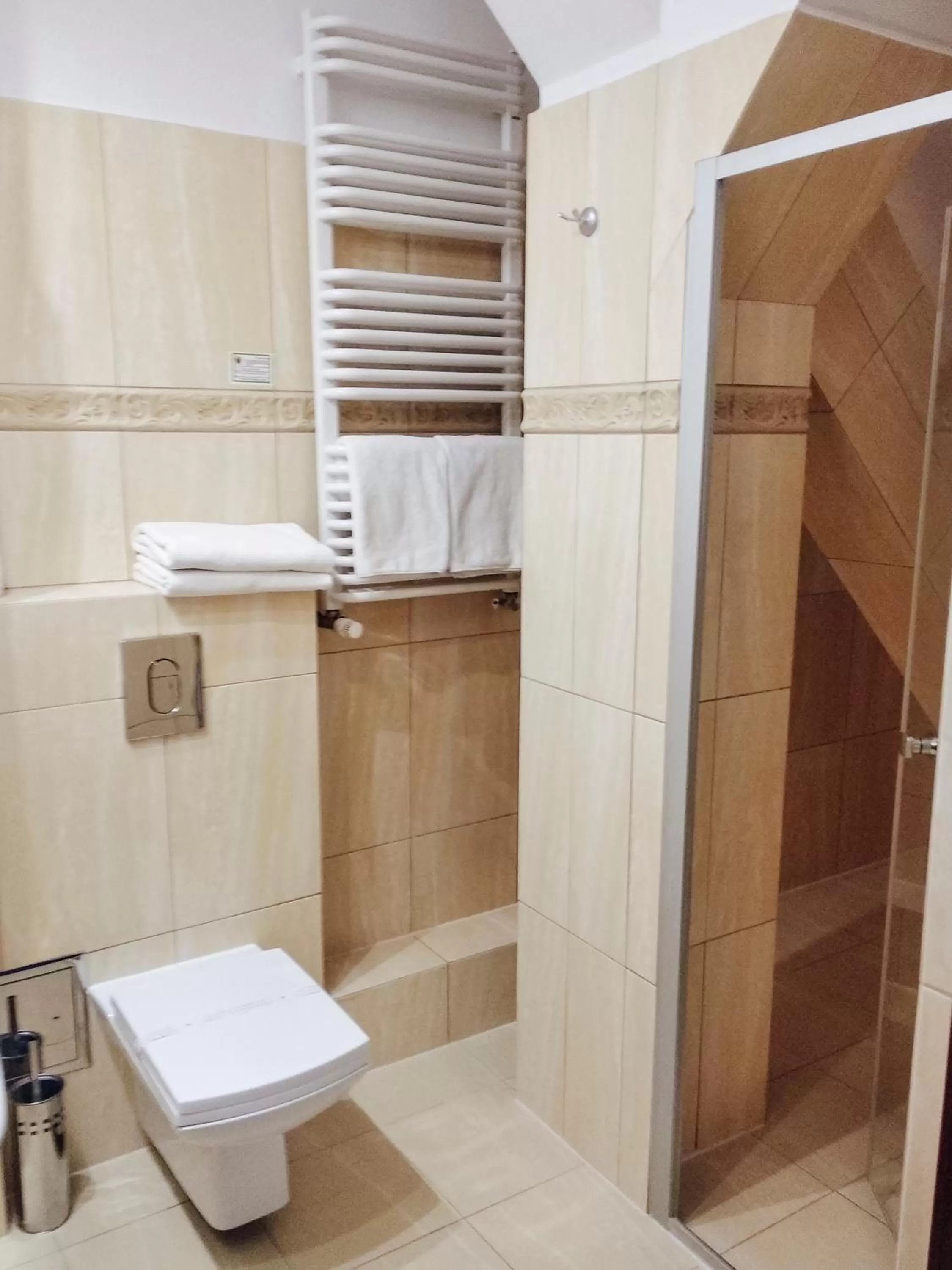 Shower in Hotel Zamek Gniew