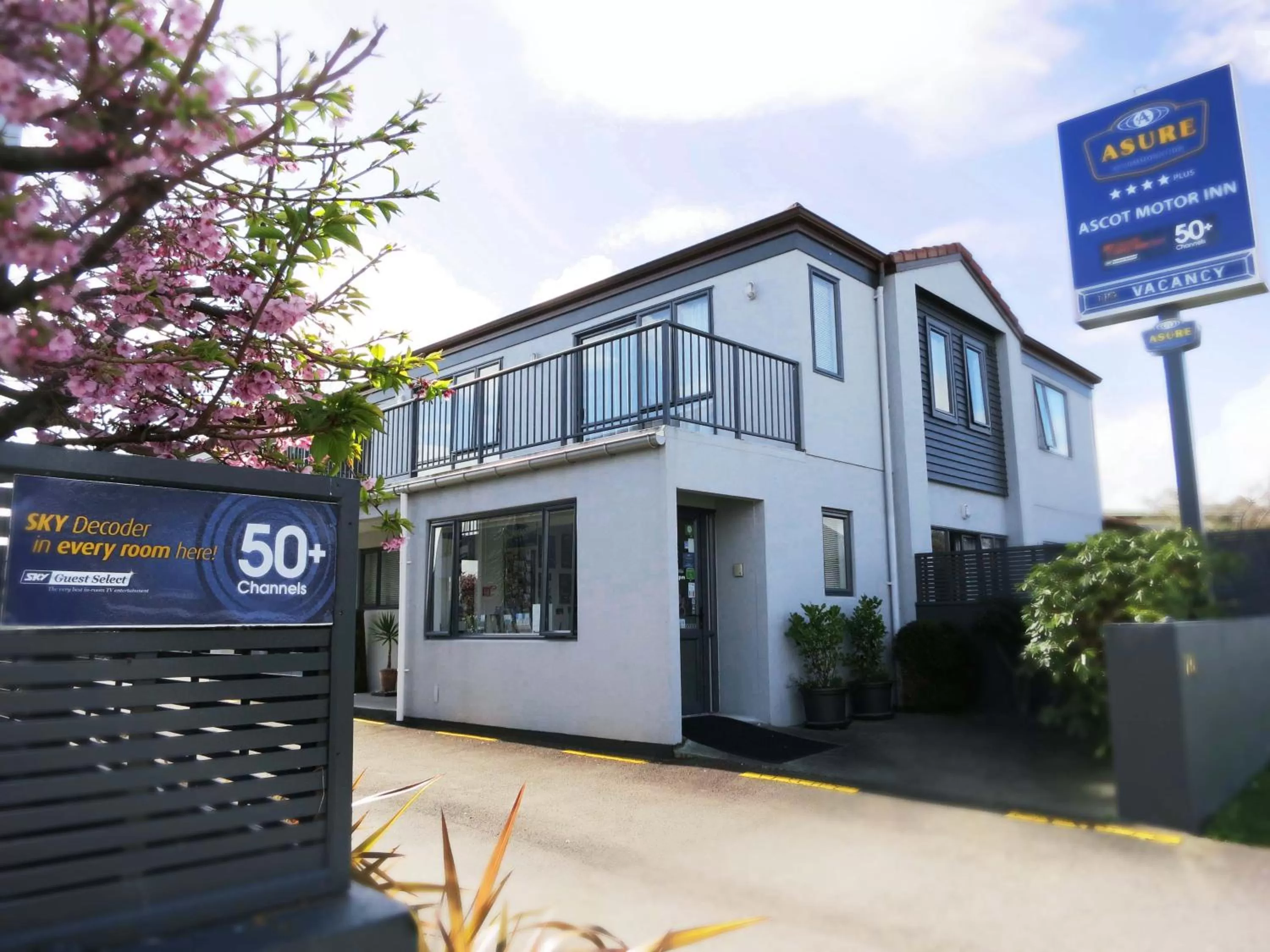 ASURE Ascot Motor Inn