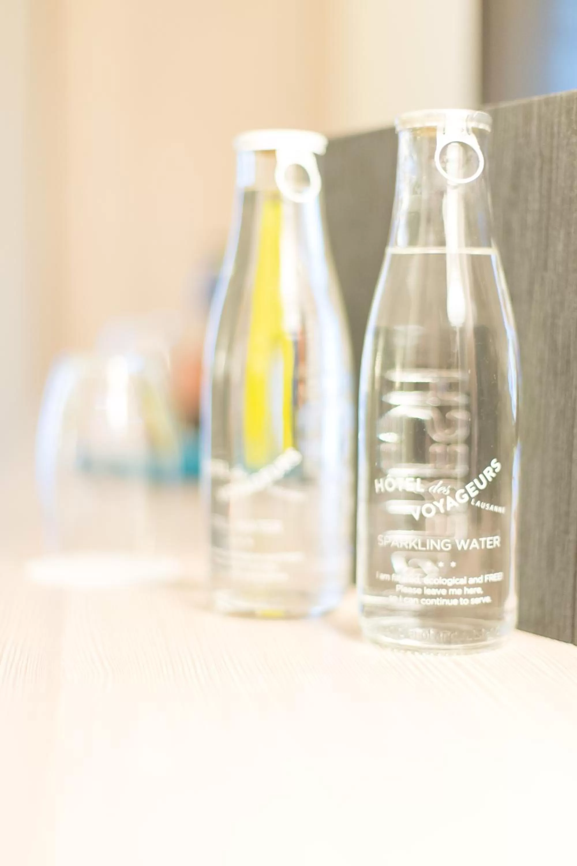 Drinks in Hôtel des Voyageurs Boutique