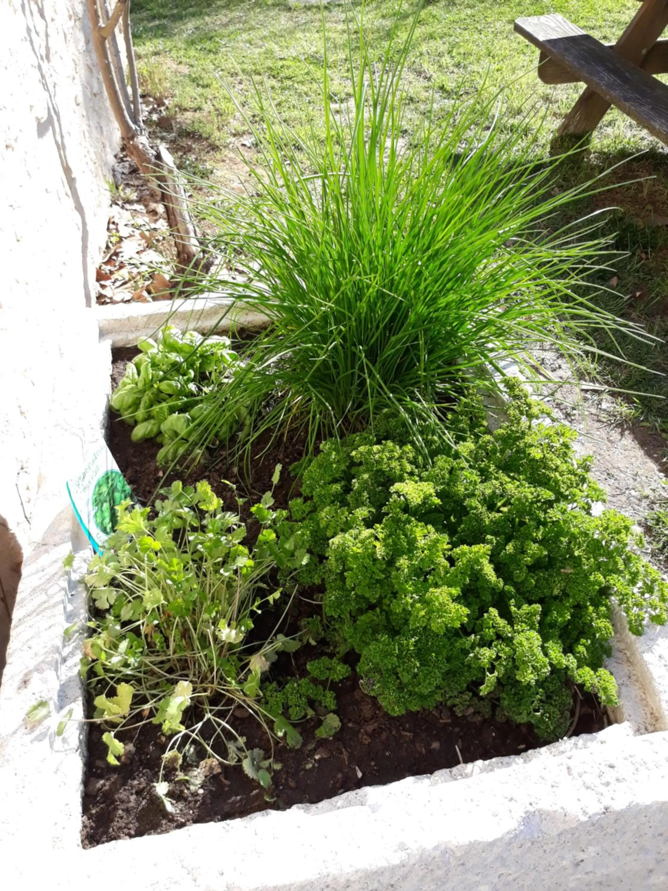 Garden in Ferme des Petites Oreilles 4 étoiles