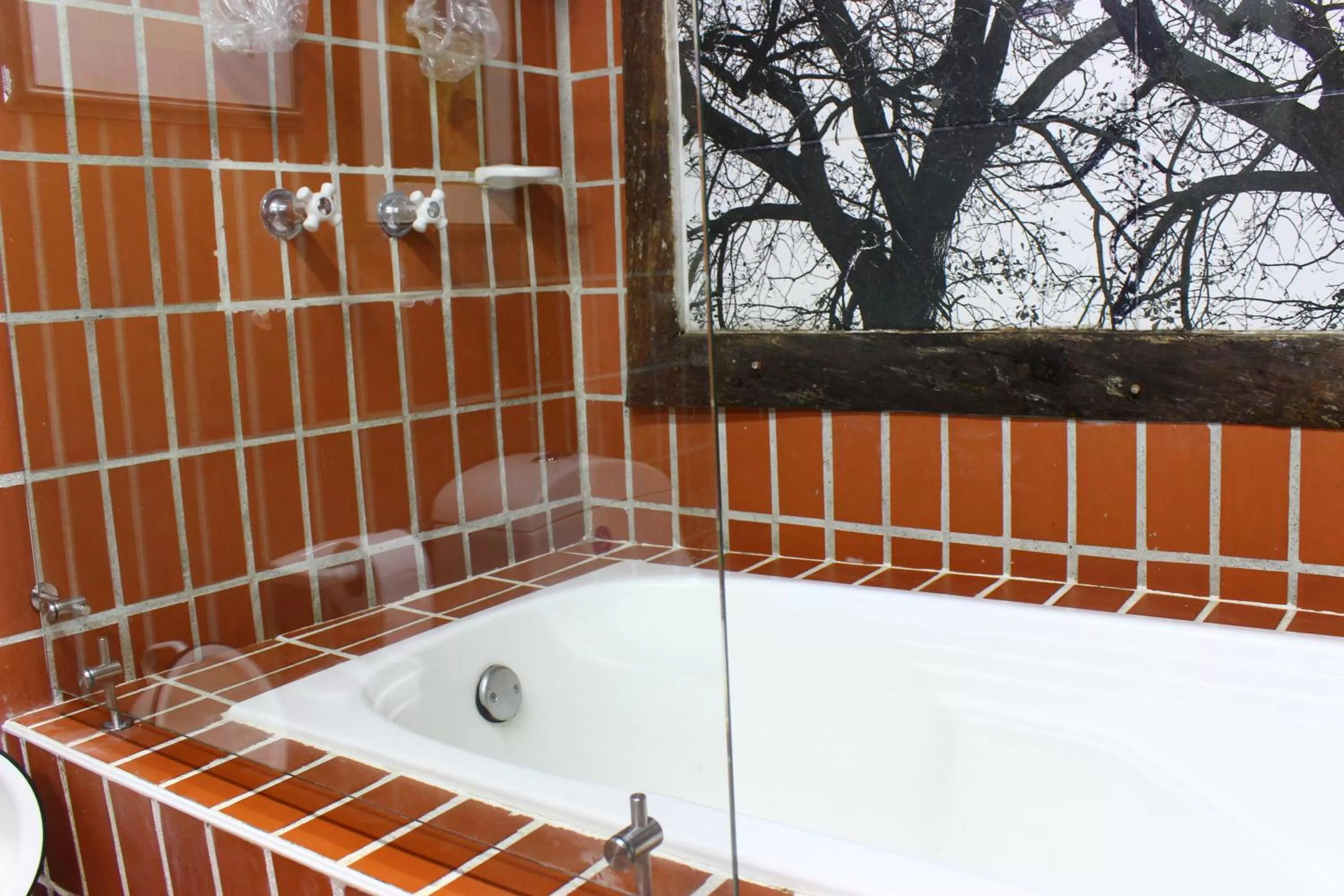 Bathroom in Finca Campestre La Adelita B&B