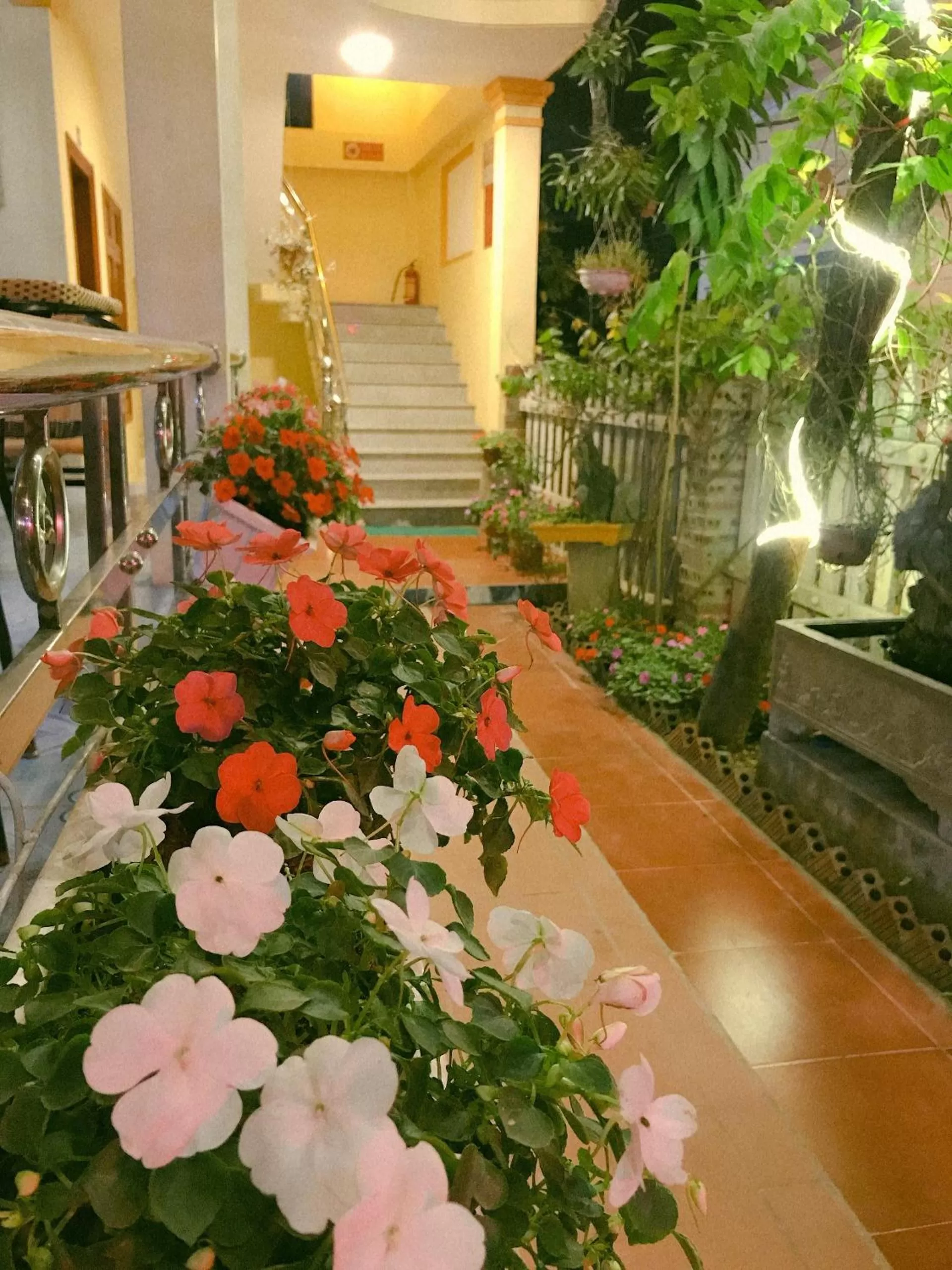 Tam Coc Family Hotel