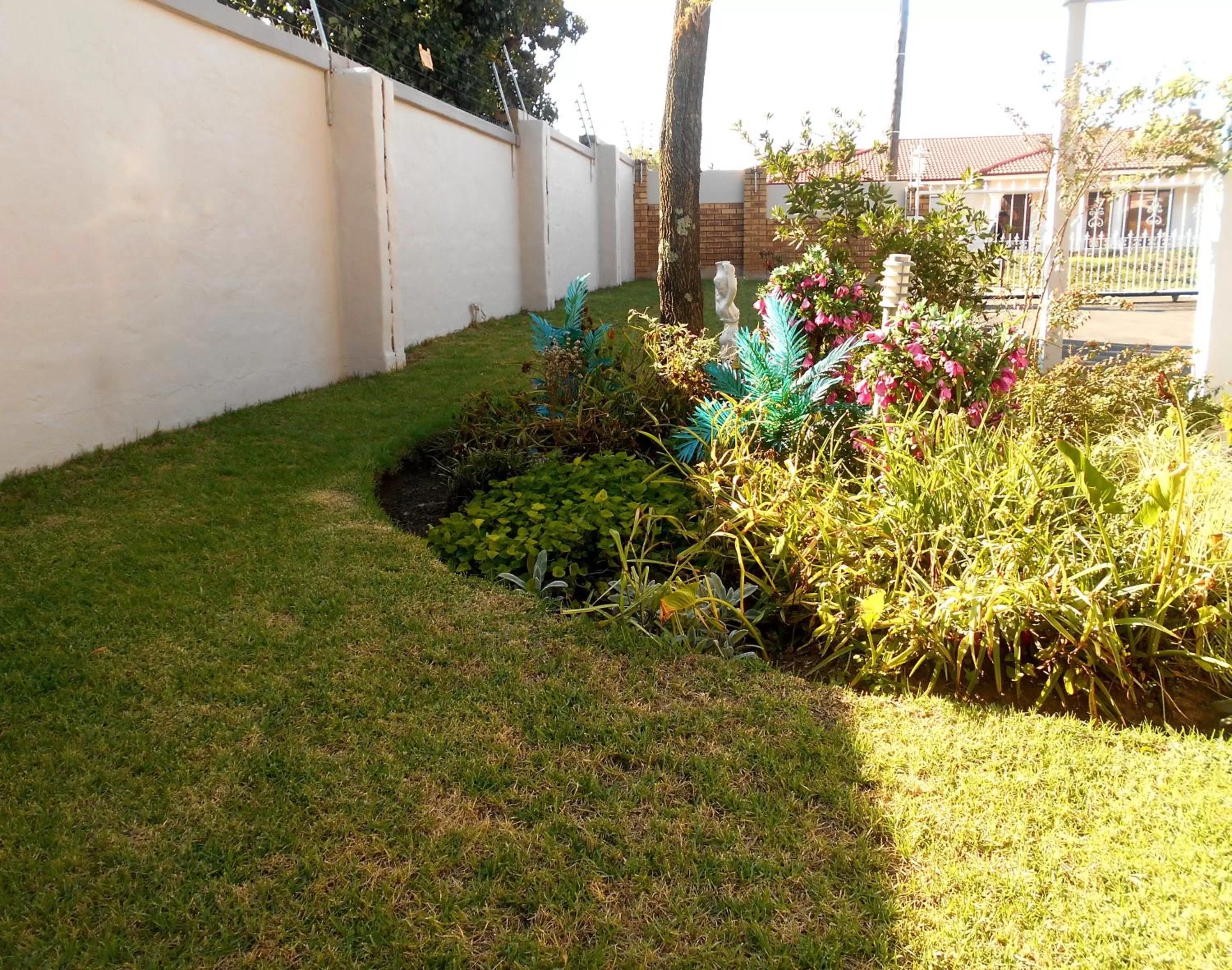 Garden in Majestic Guesthouse