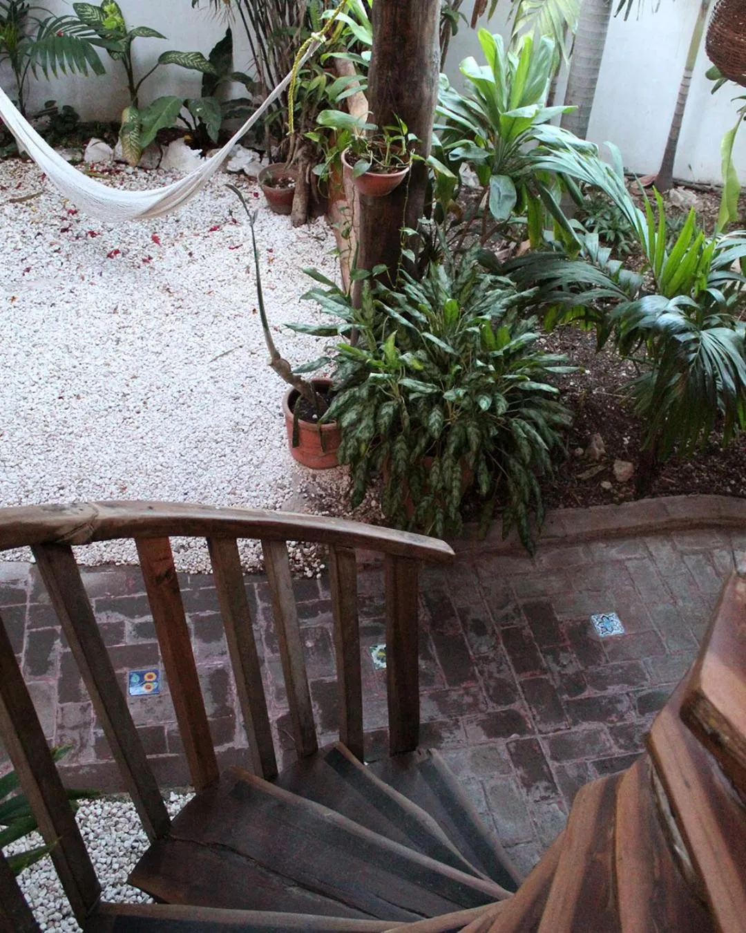 Garden in L hotelito