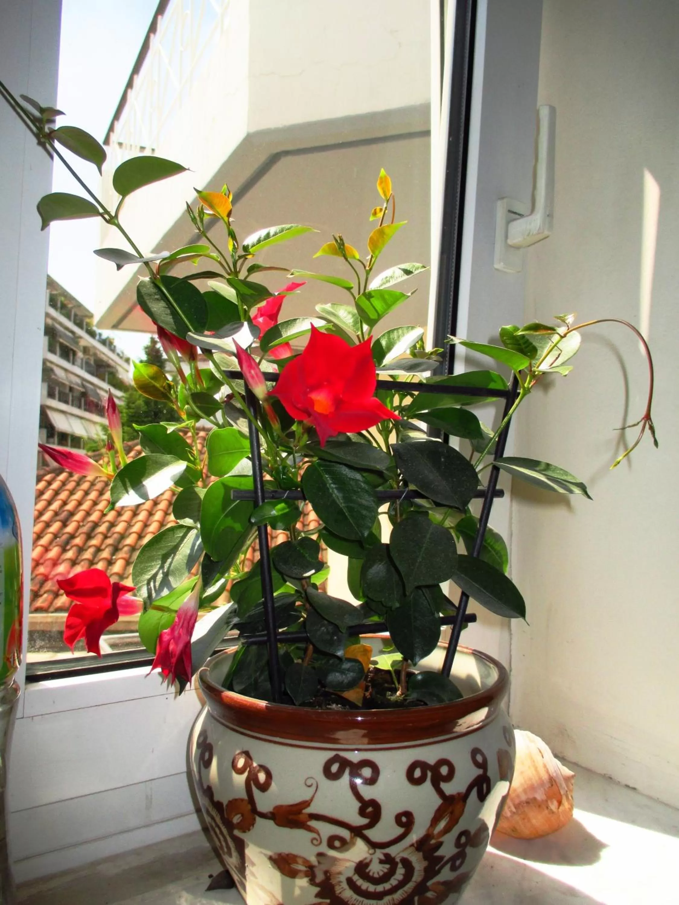 Other in Nomads Rooms