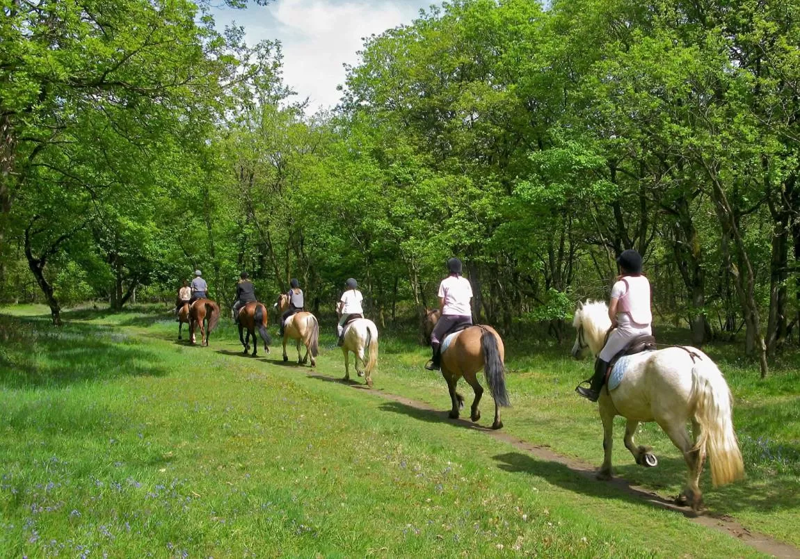 Horseback Riding in Domus Antiqua Bed & Breakfast