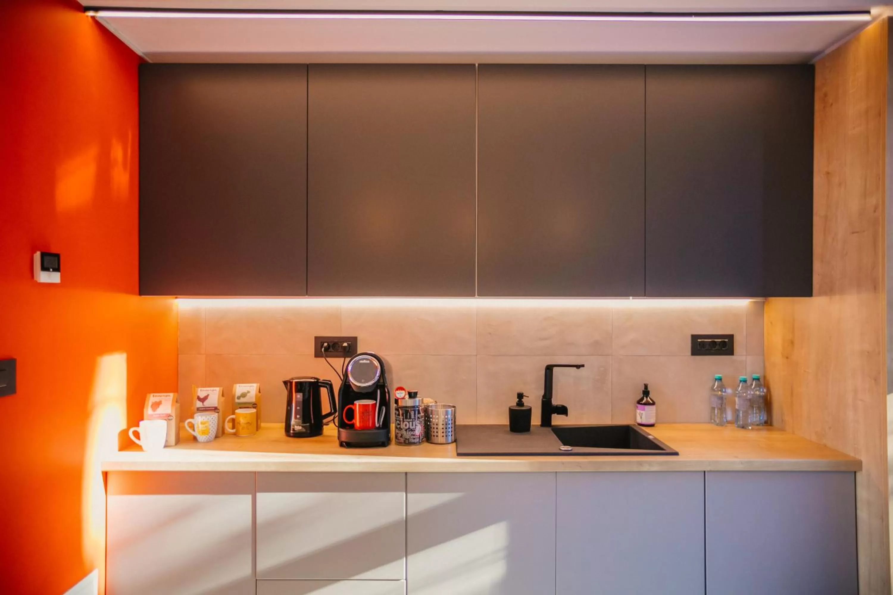 Coffee/tea facilities, Kitchen/Kitchenette in Adventure Lake Resort - Simared