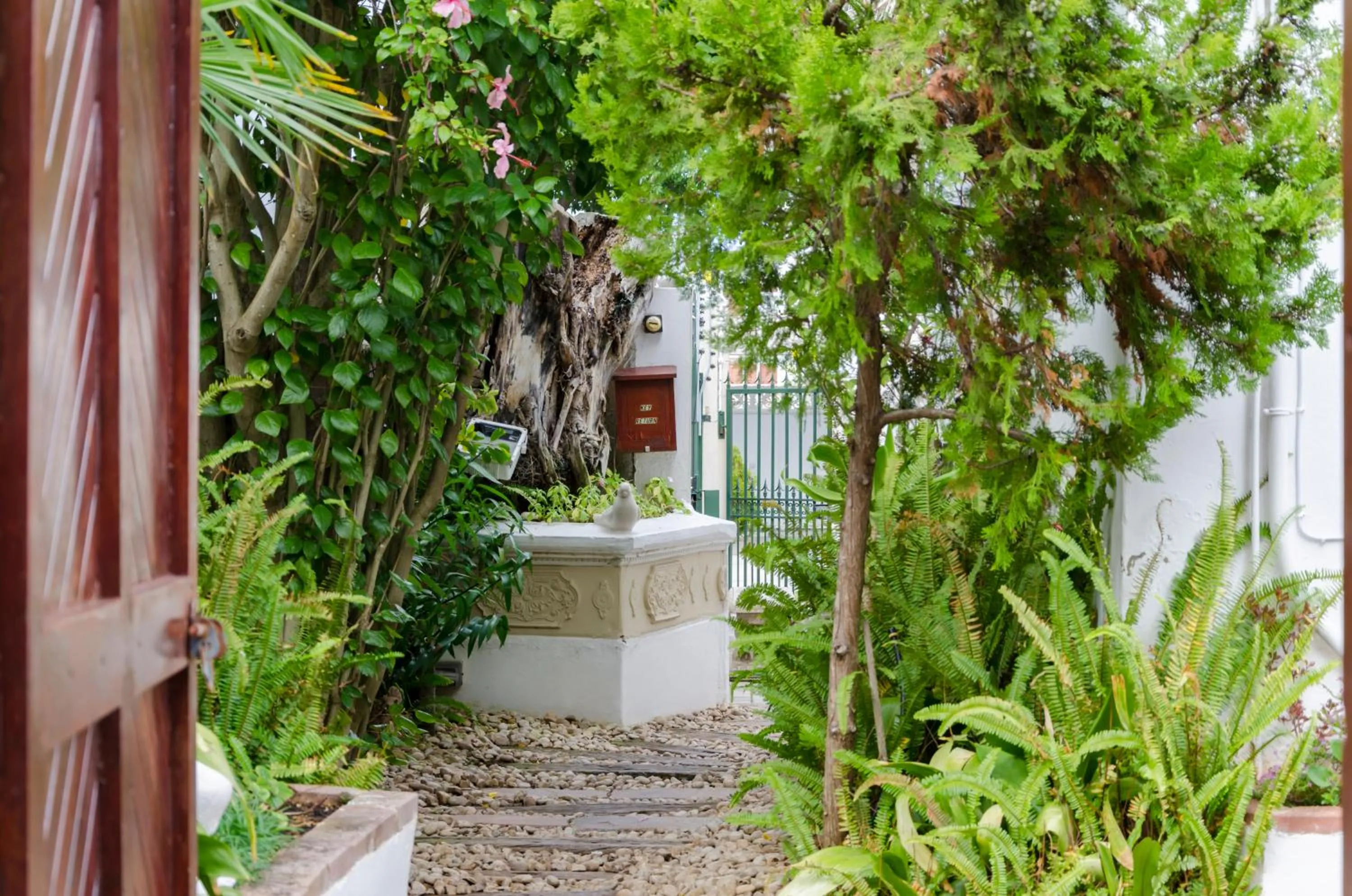 Garden in Brighton Lodge - #Solar Energy #No Loadshedding