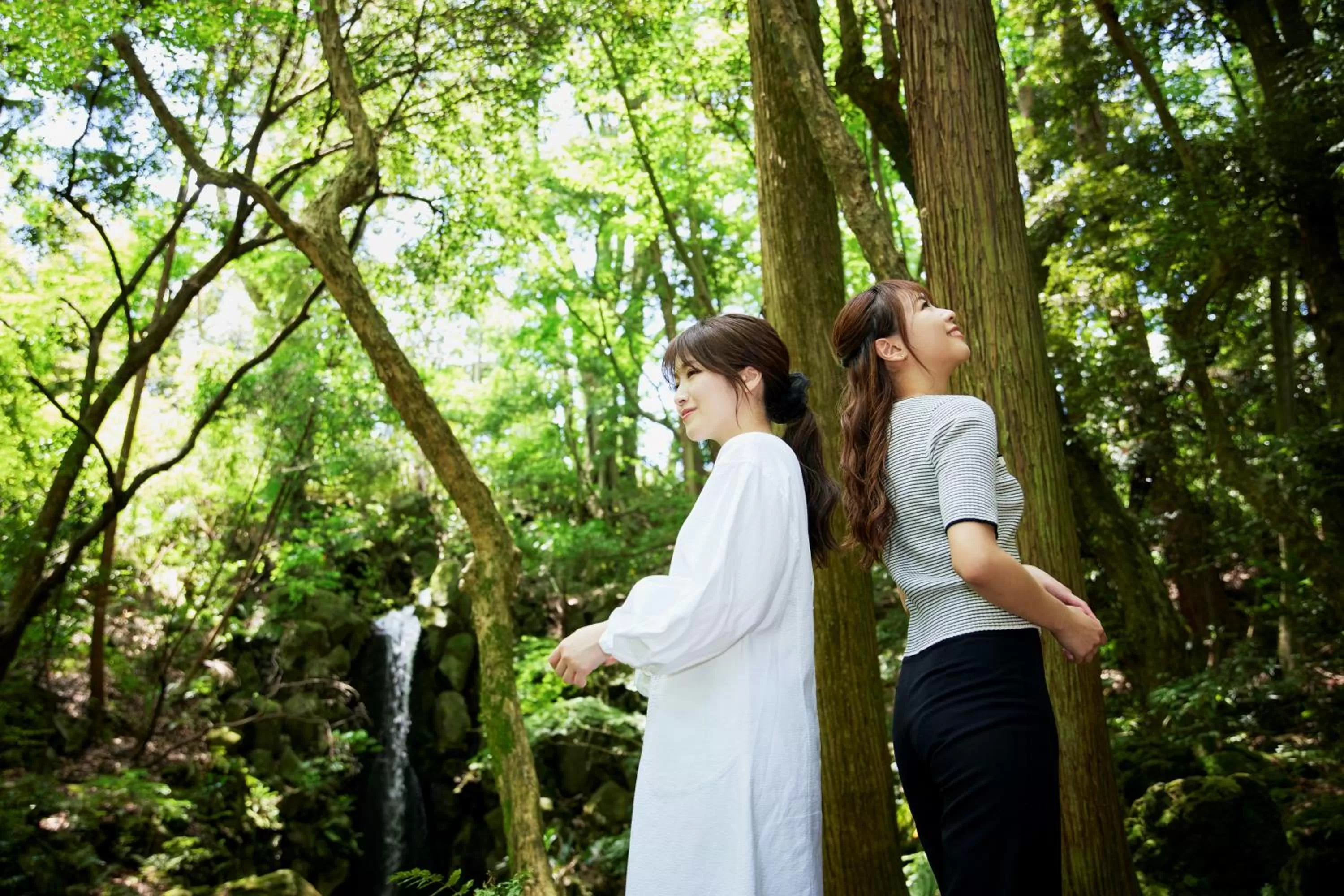 Nearby landmark in Waqoo Naritasanmonzen