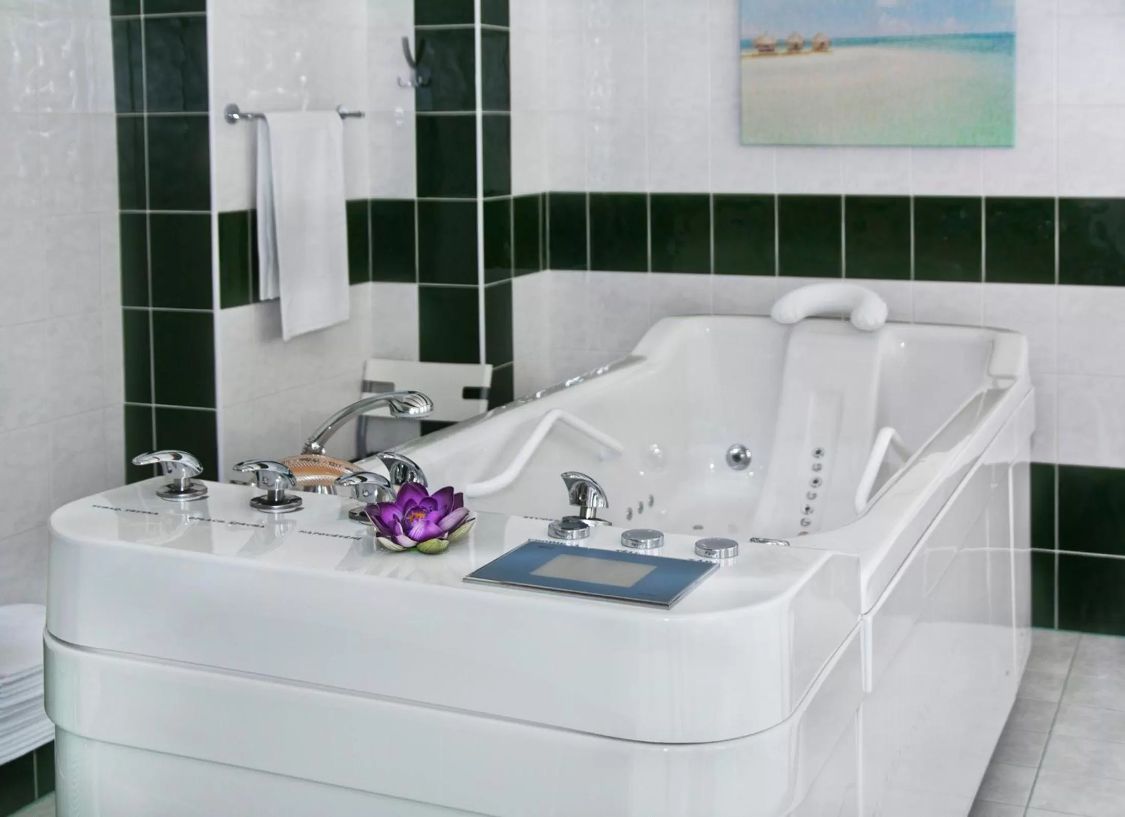 Spa and wellness centre/facilities, Bathroom in Wellness Hotel Ida