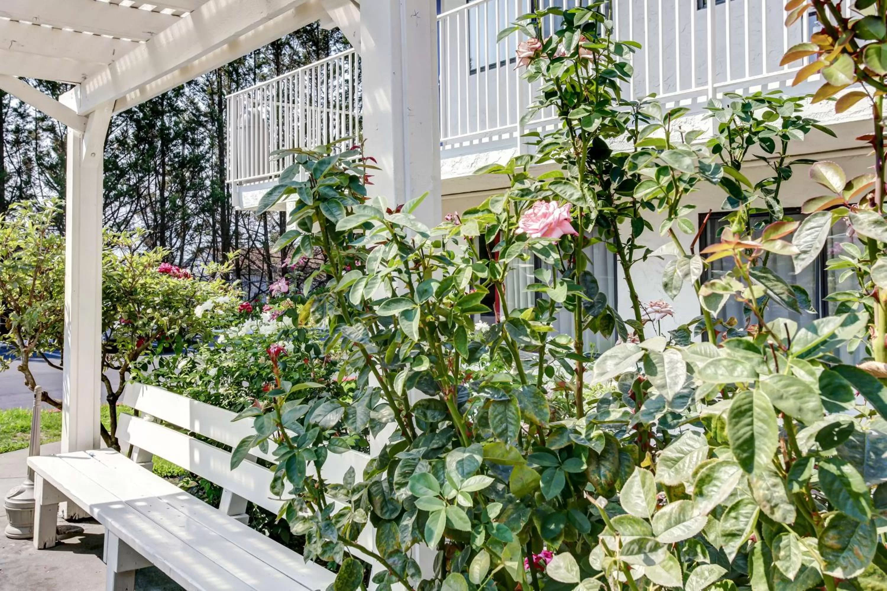 Property building in Motel 6-Grants Pass, OR