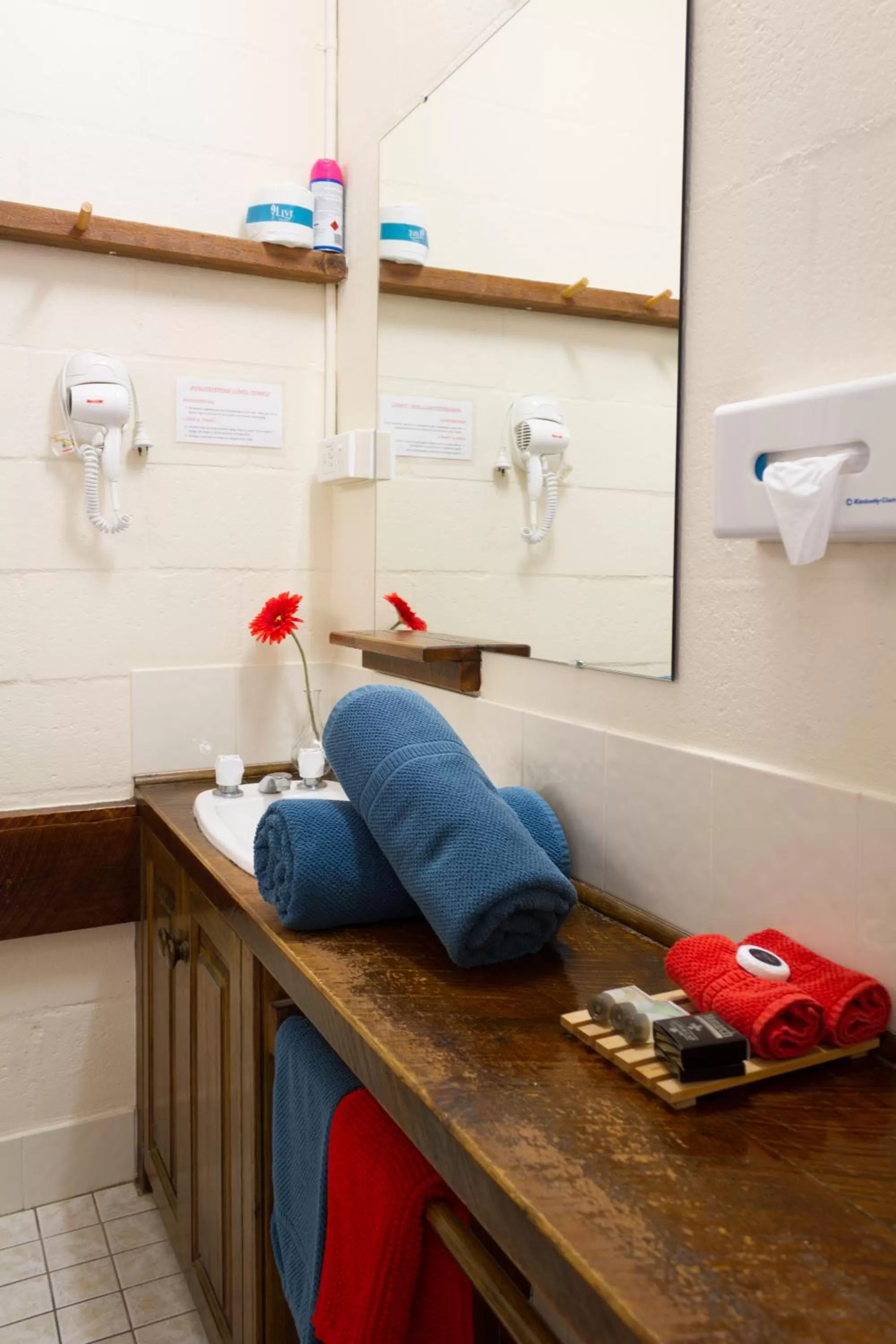 towels in Blackheath Motor Inn