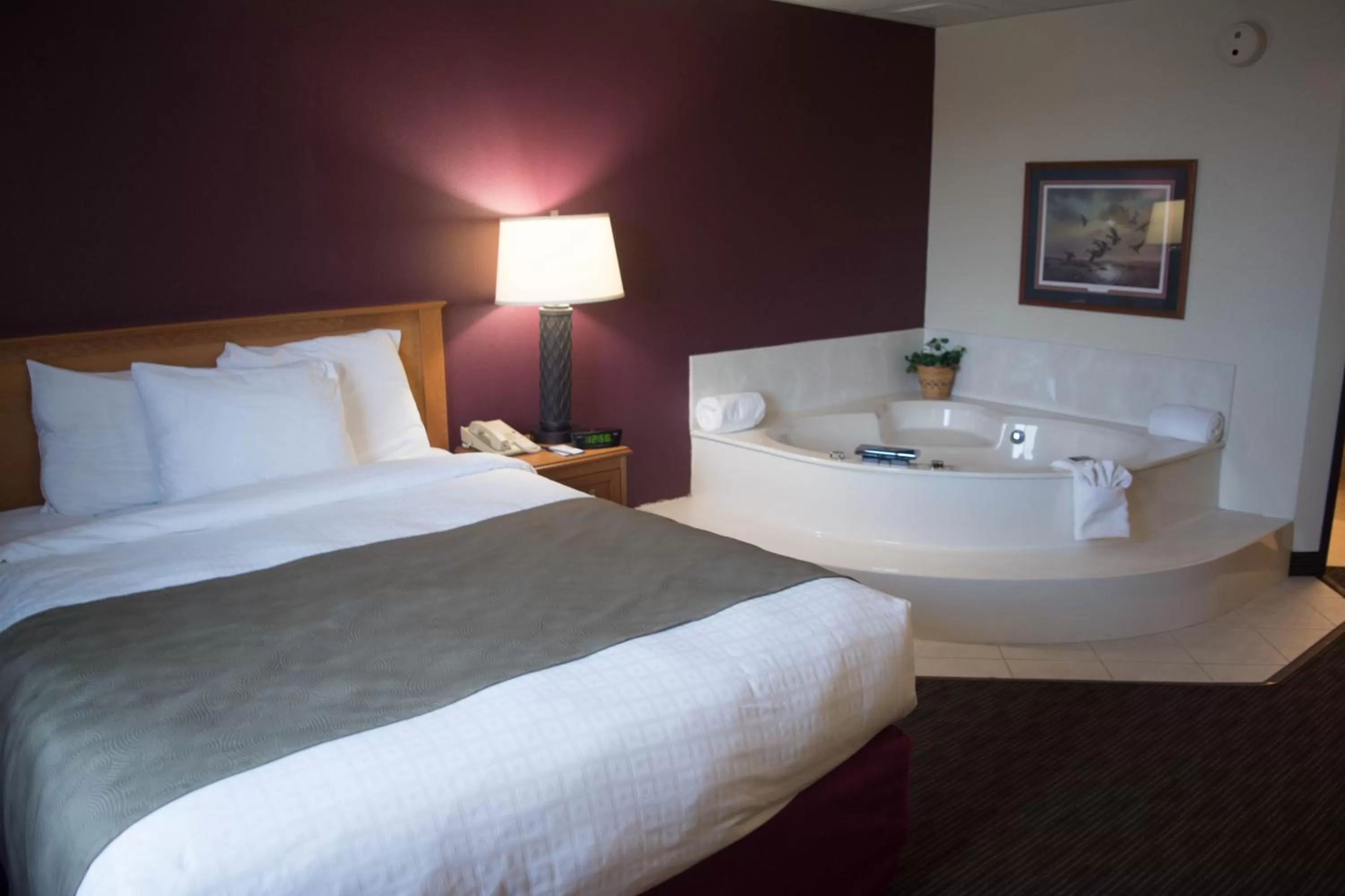 Bed in AmericInn by Wyndham Madison SD