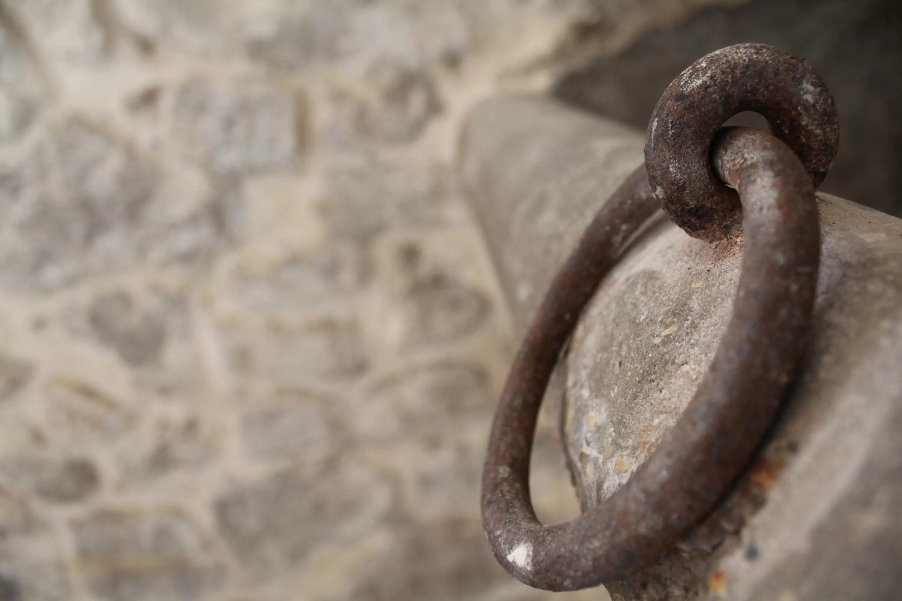 Logo/Certificate/Sign in Le Mangiatoie del Cavaliere