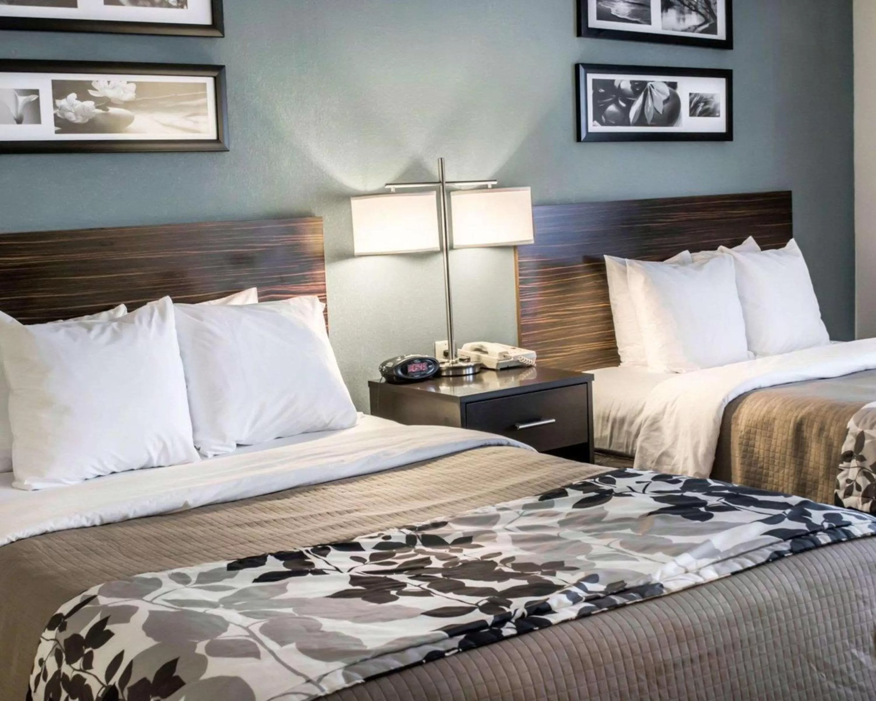 Photo of the whole room, Bed in Sleep Inn & Suites Monticello