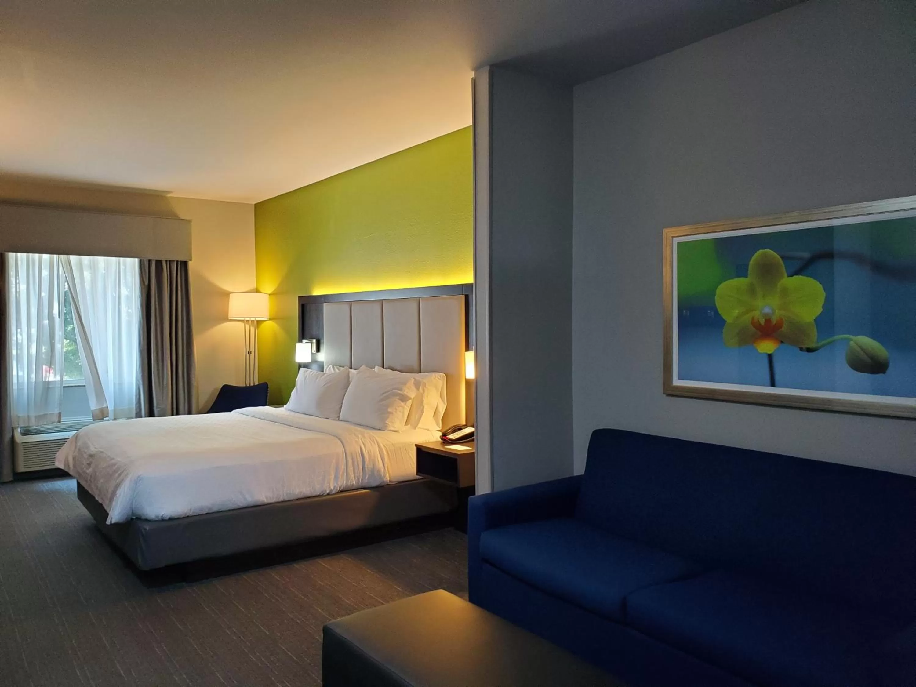 Living room, Bed in Holiday Inn Express Pearland by IHG